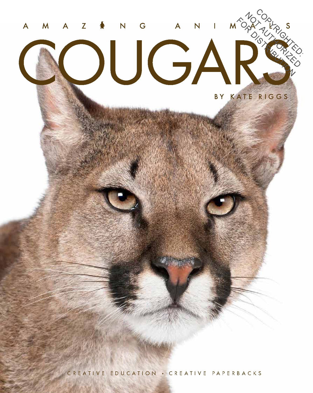 Cougars