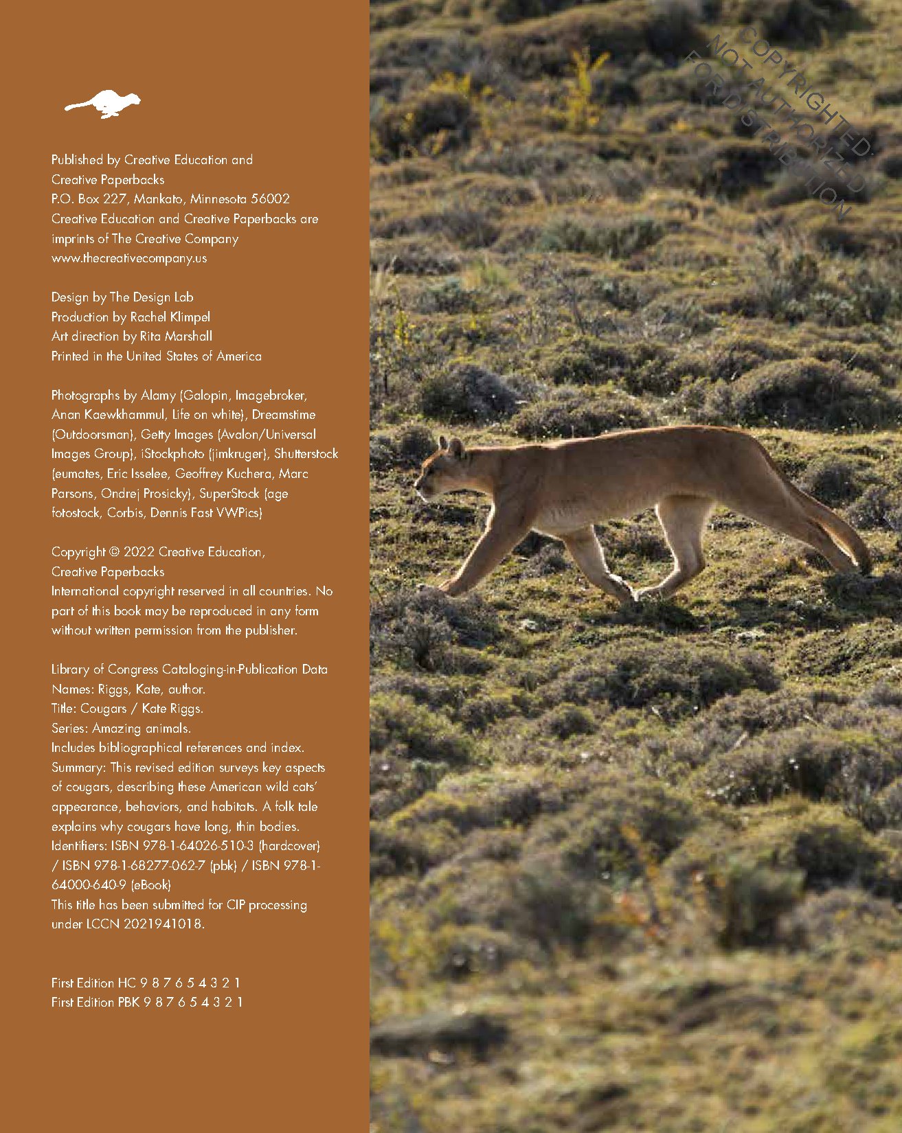 Cougars
