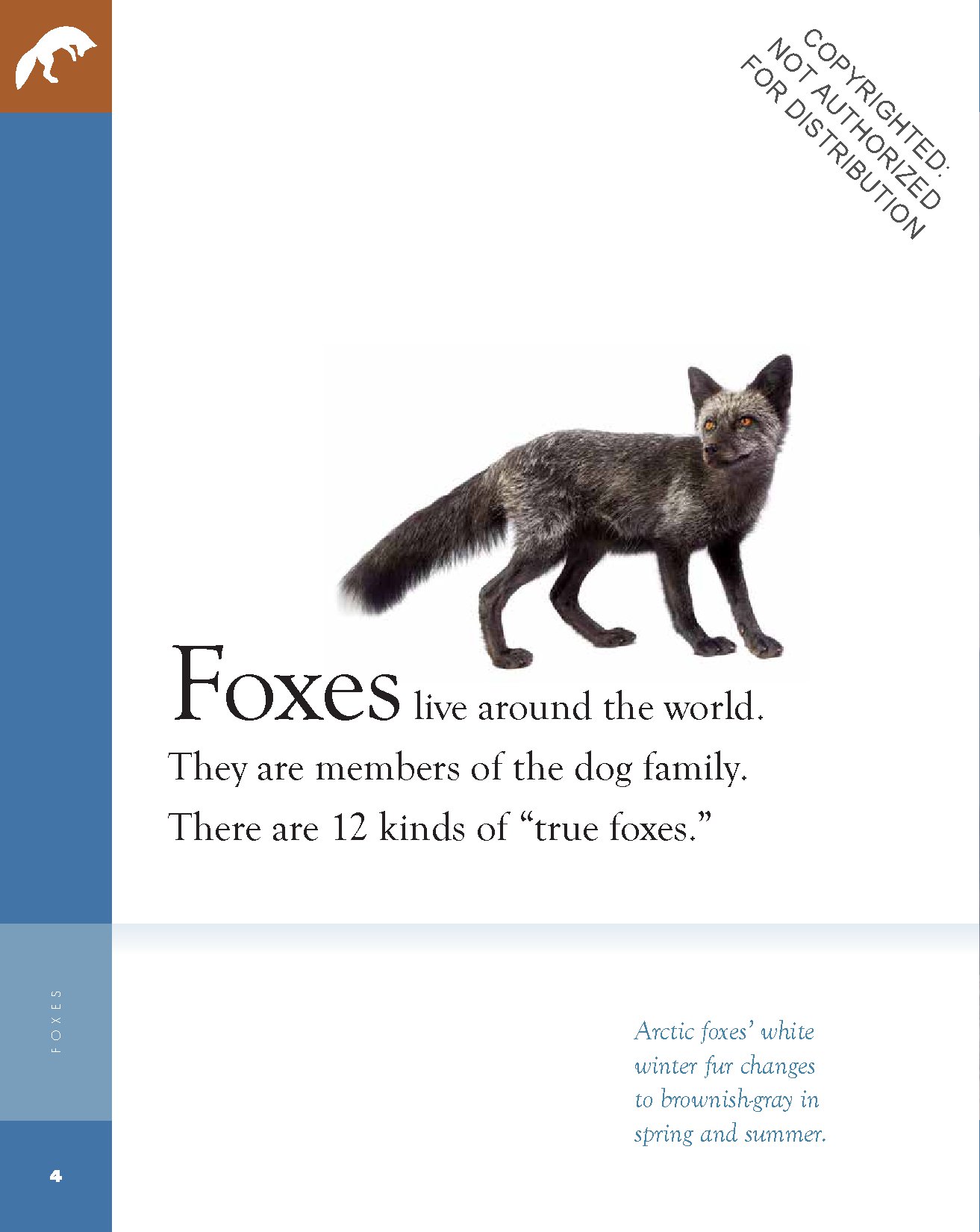 Foxes