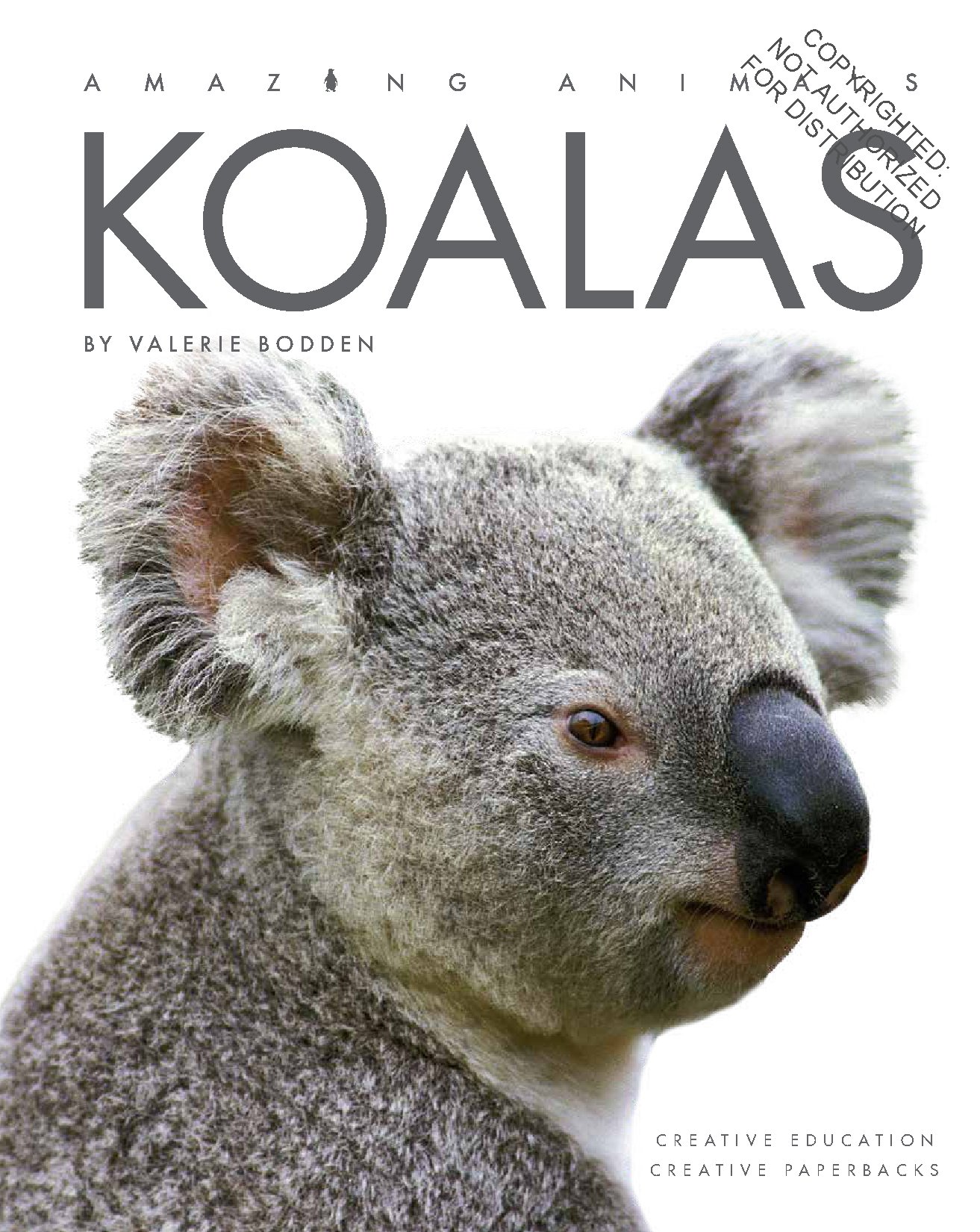 Koalas