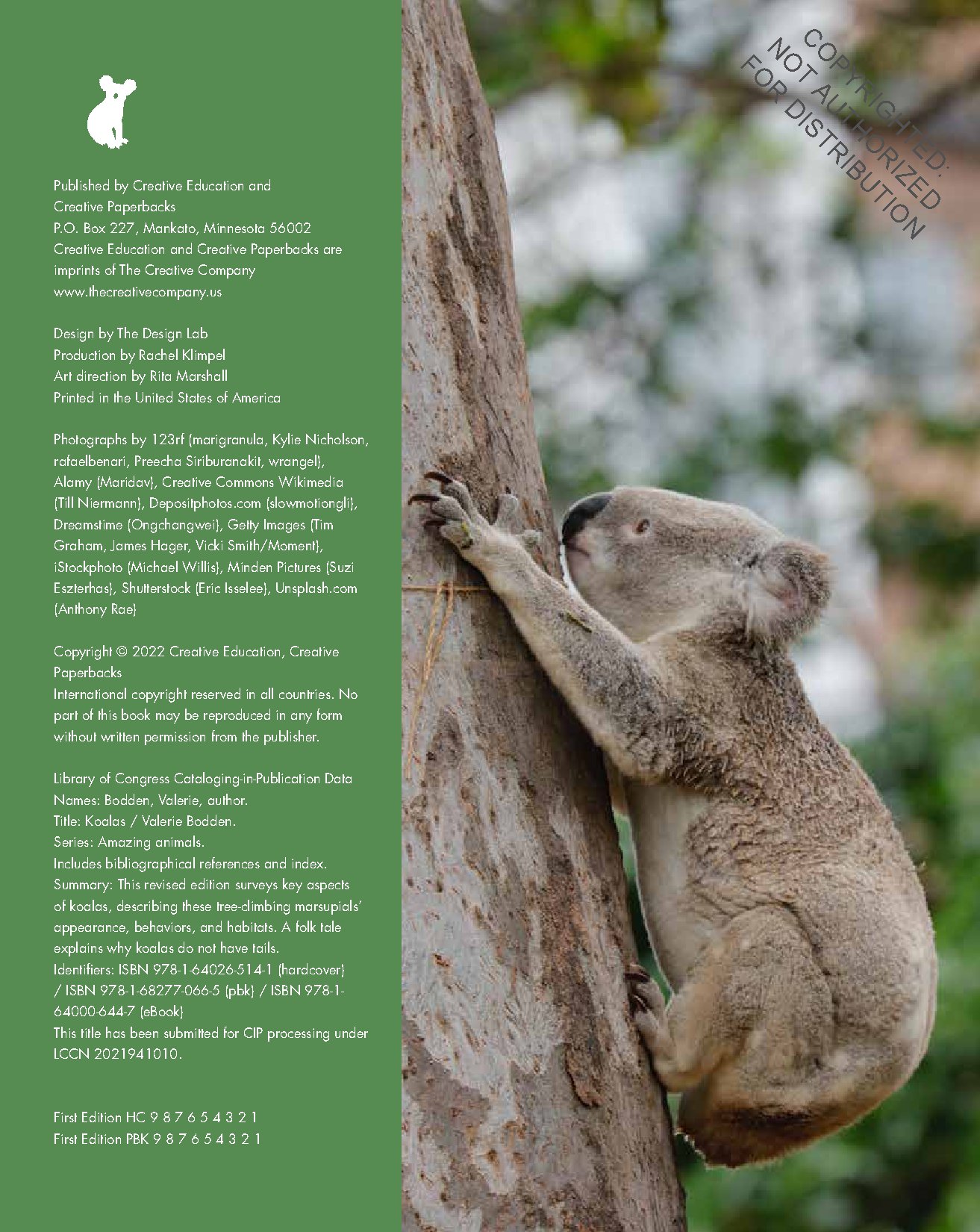 Koalas