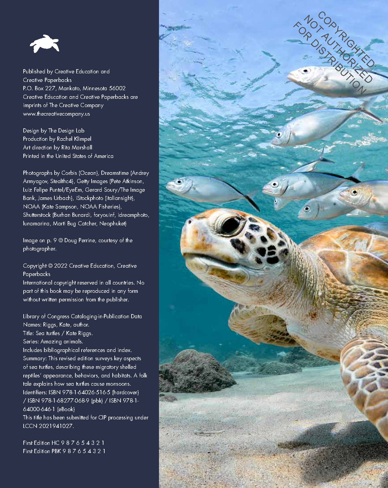 Sea Turtles