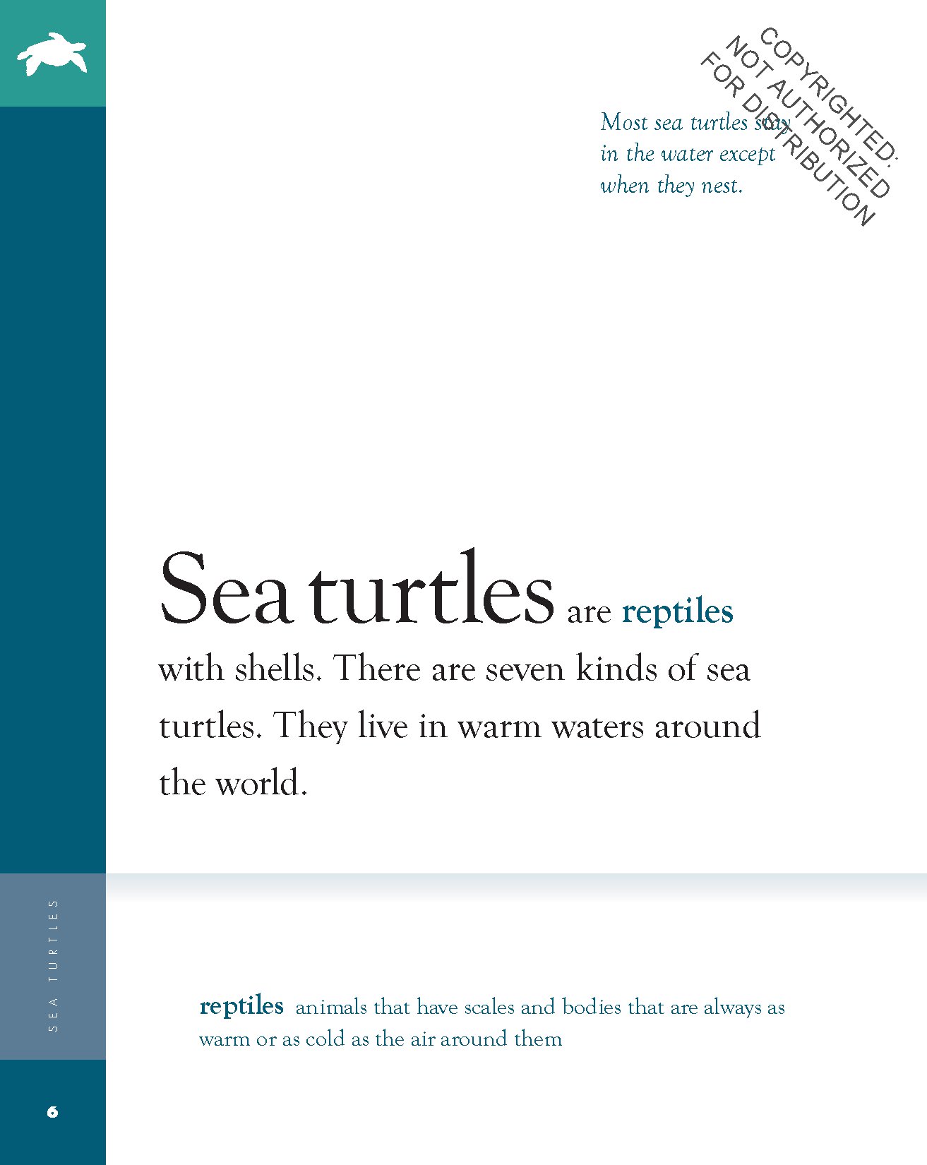 Sea Turtles