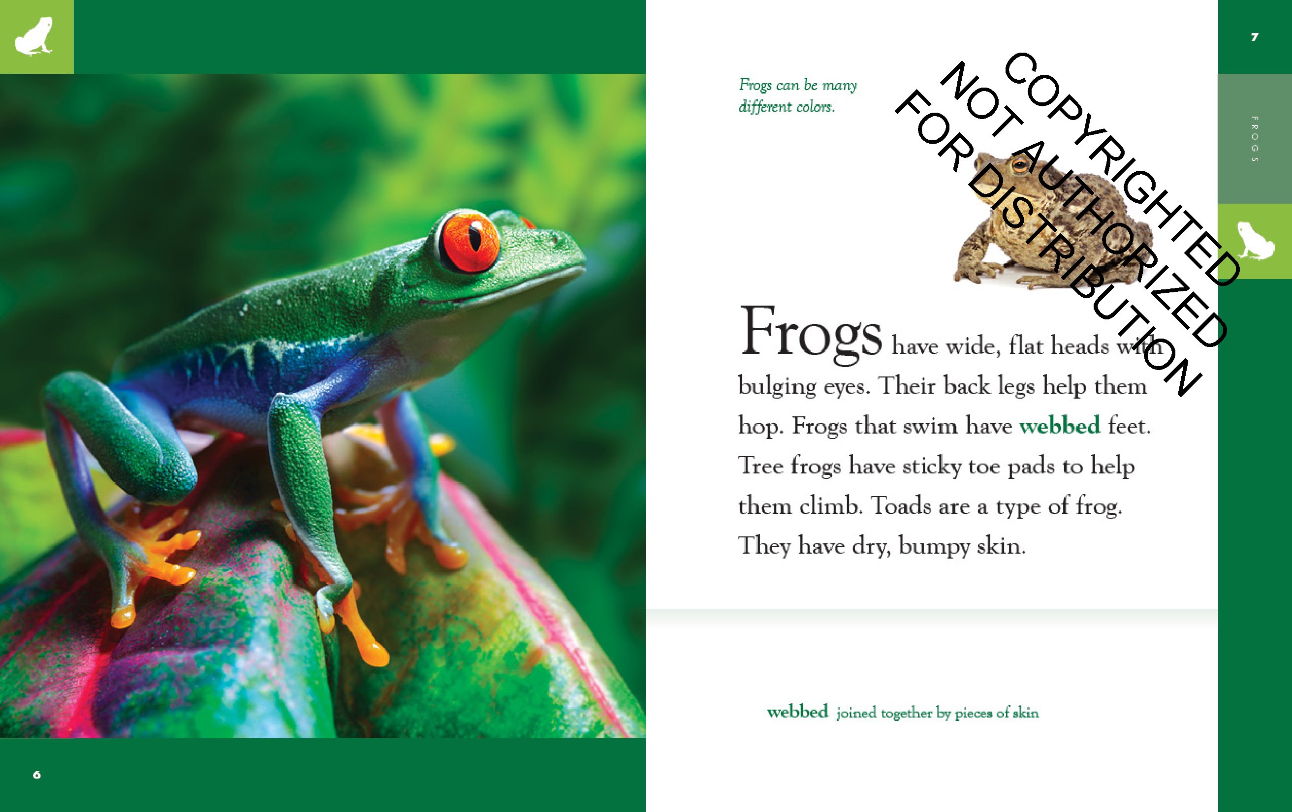 Frogs