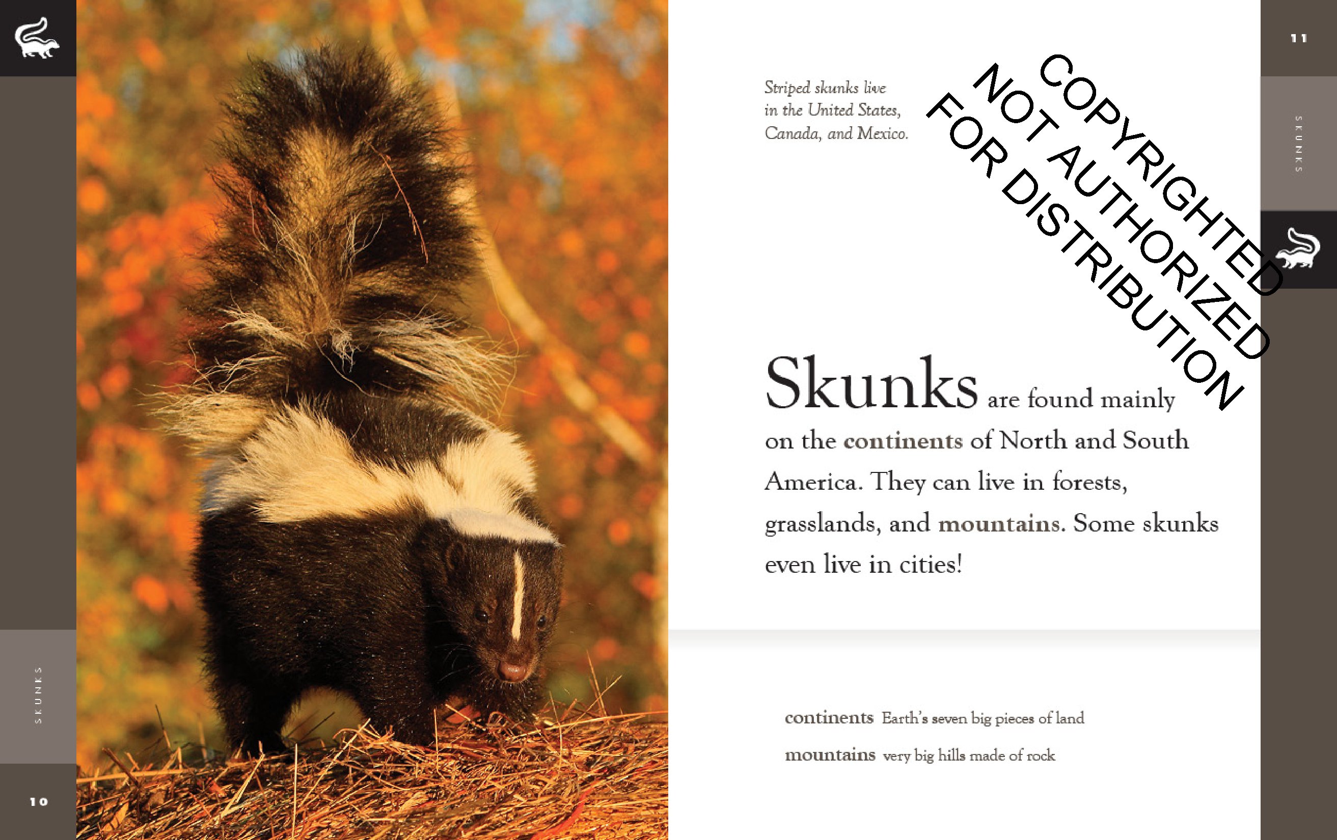Skunks