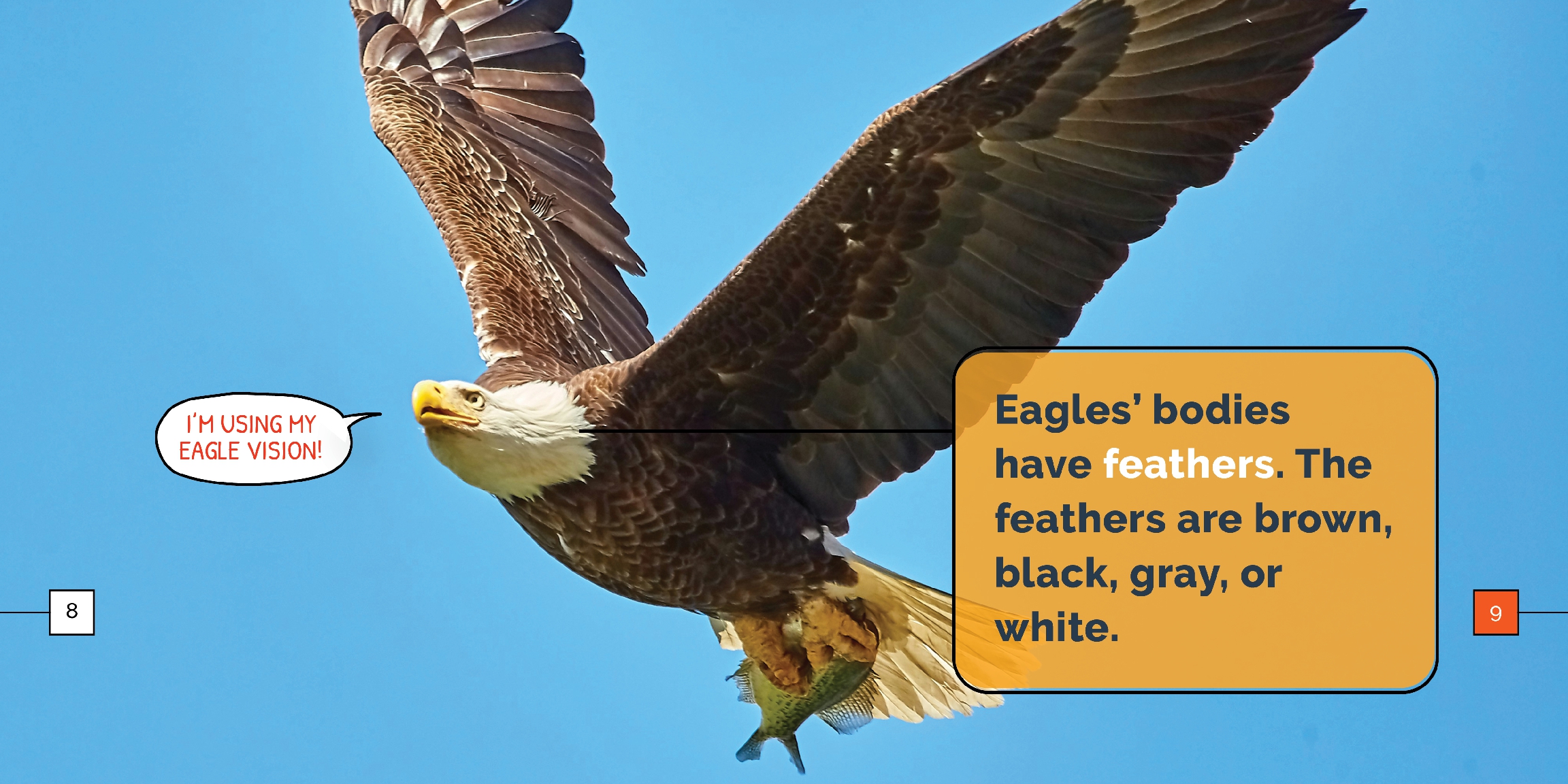 Eagles