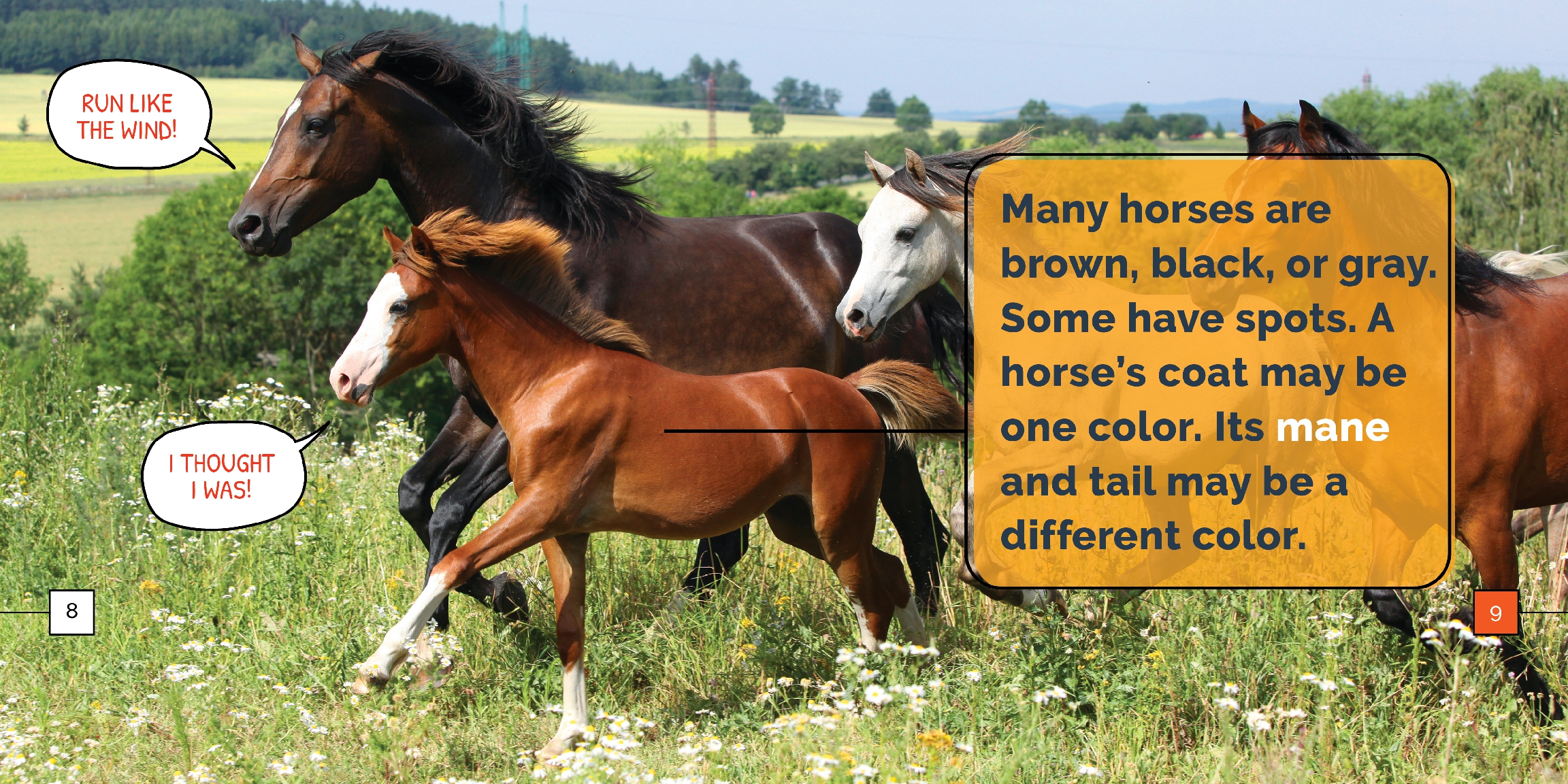 Horses