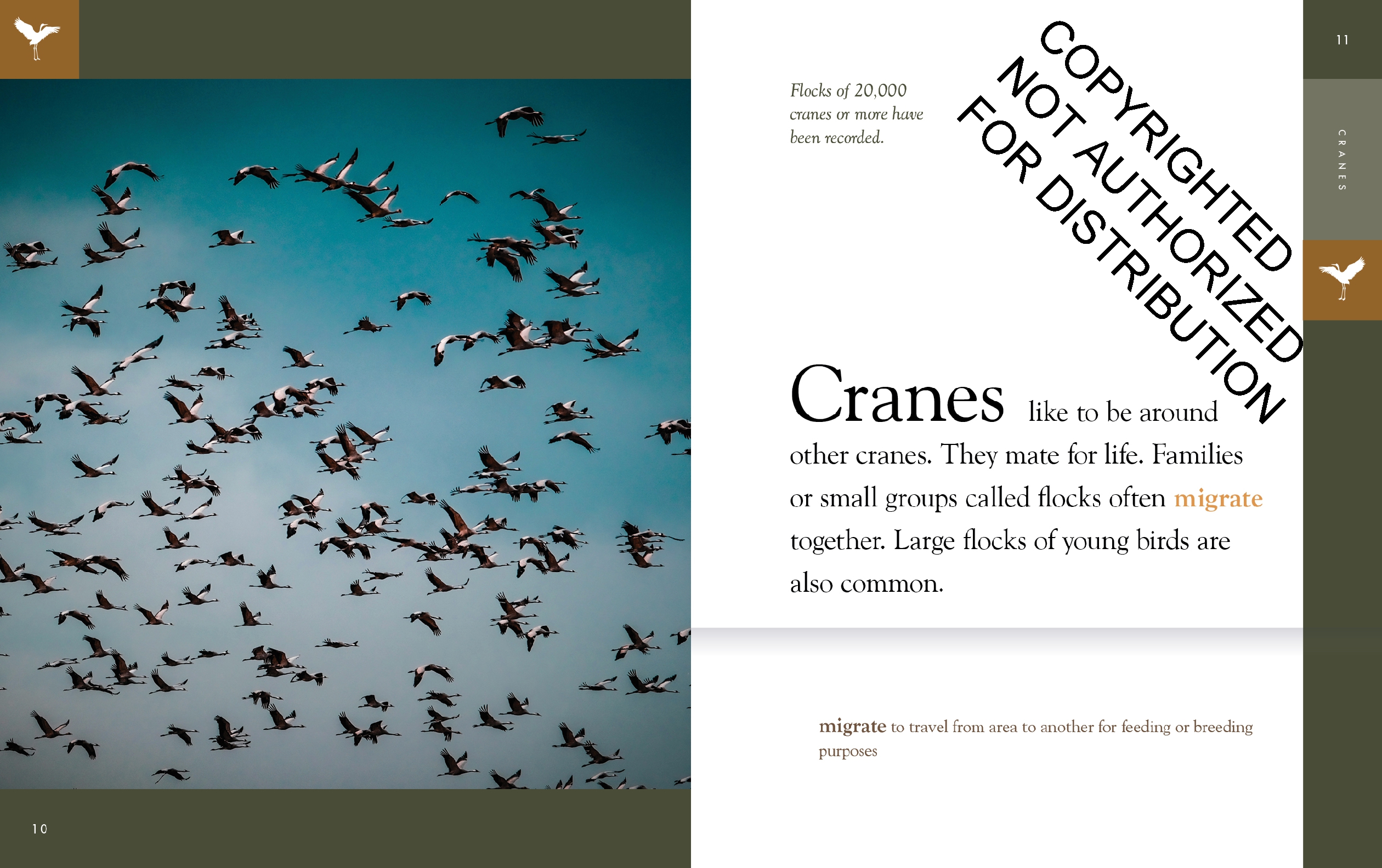 Cranes