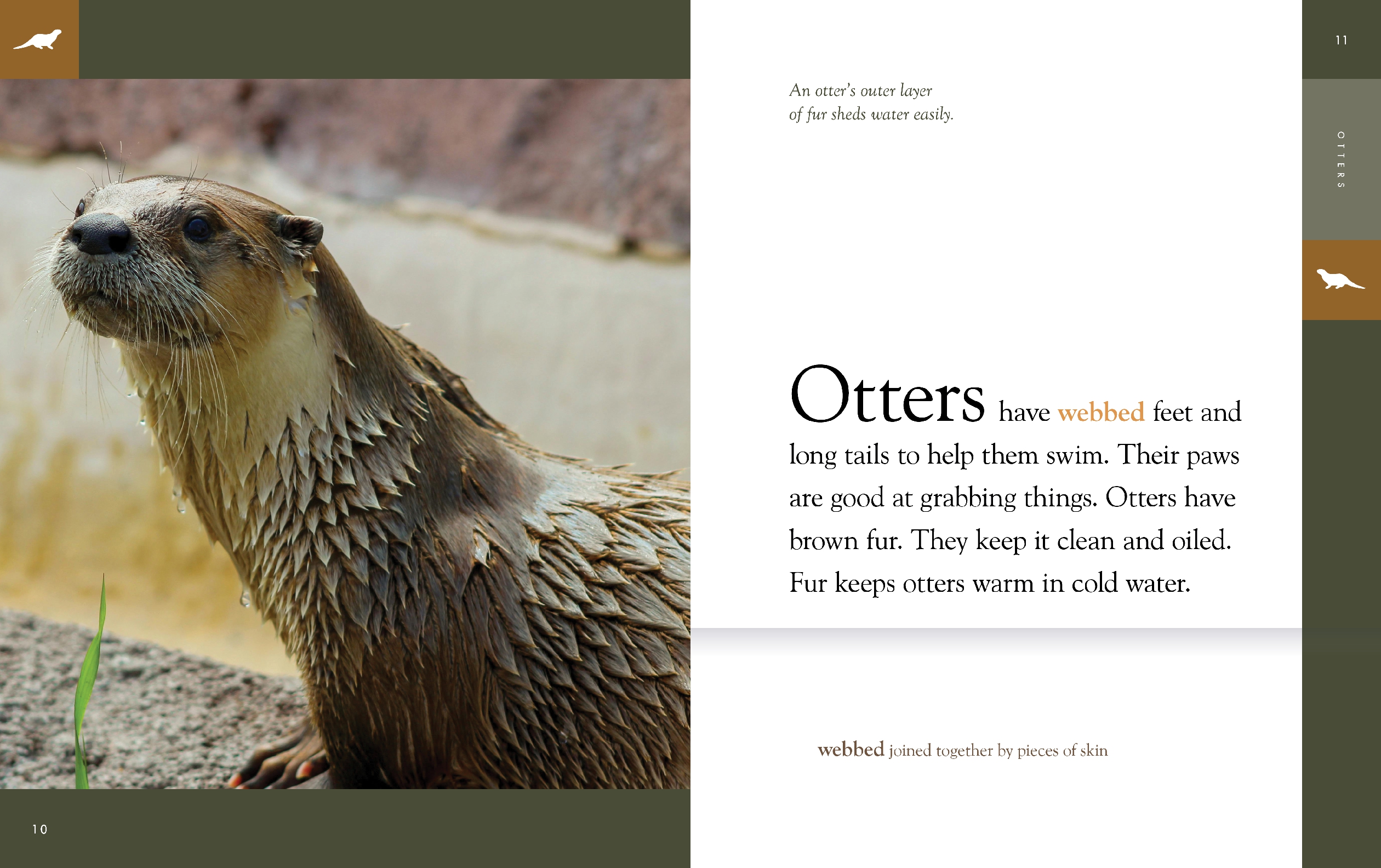 Otters