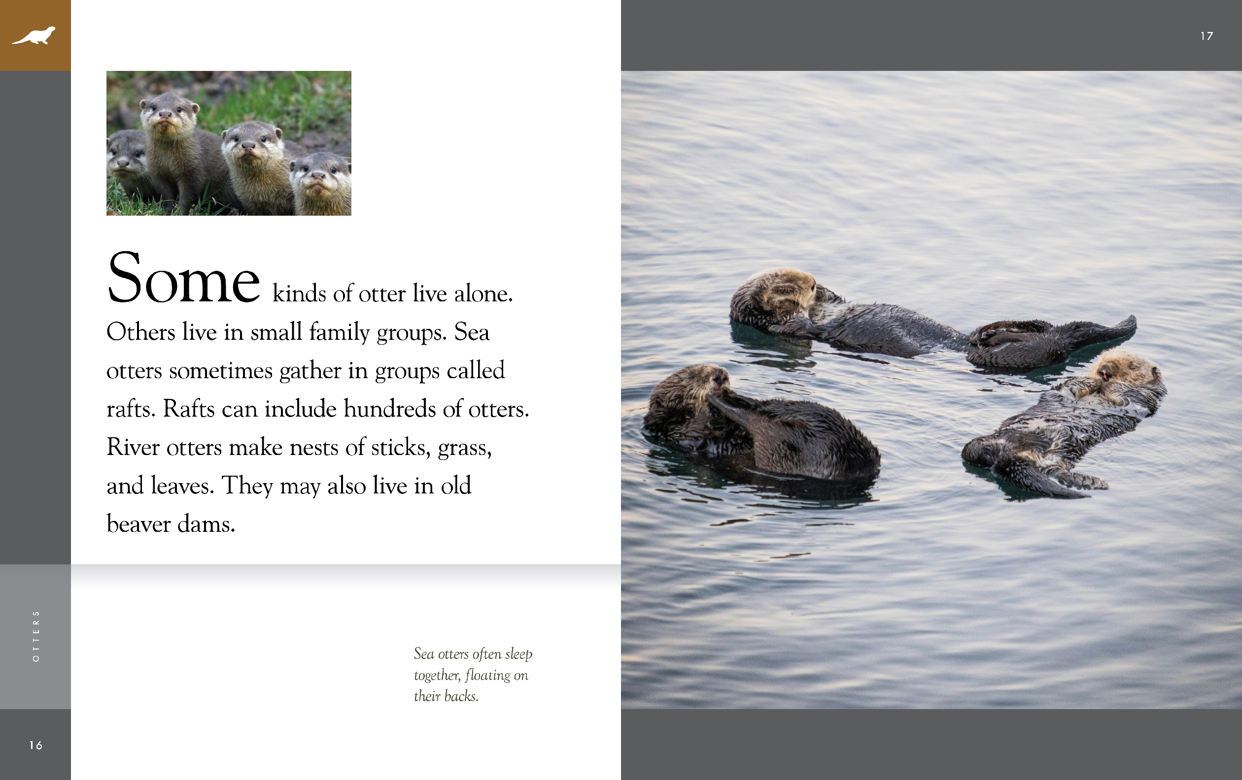 Otters