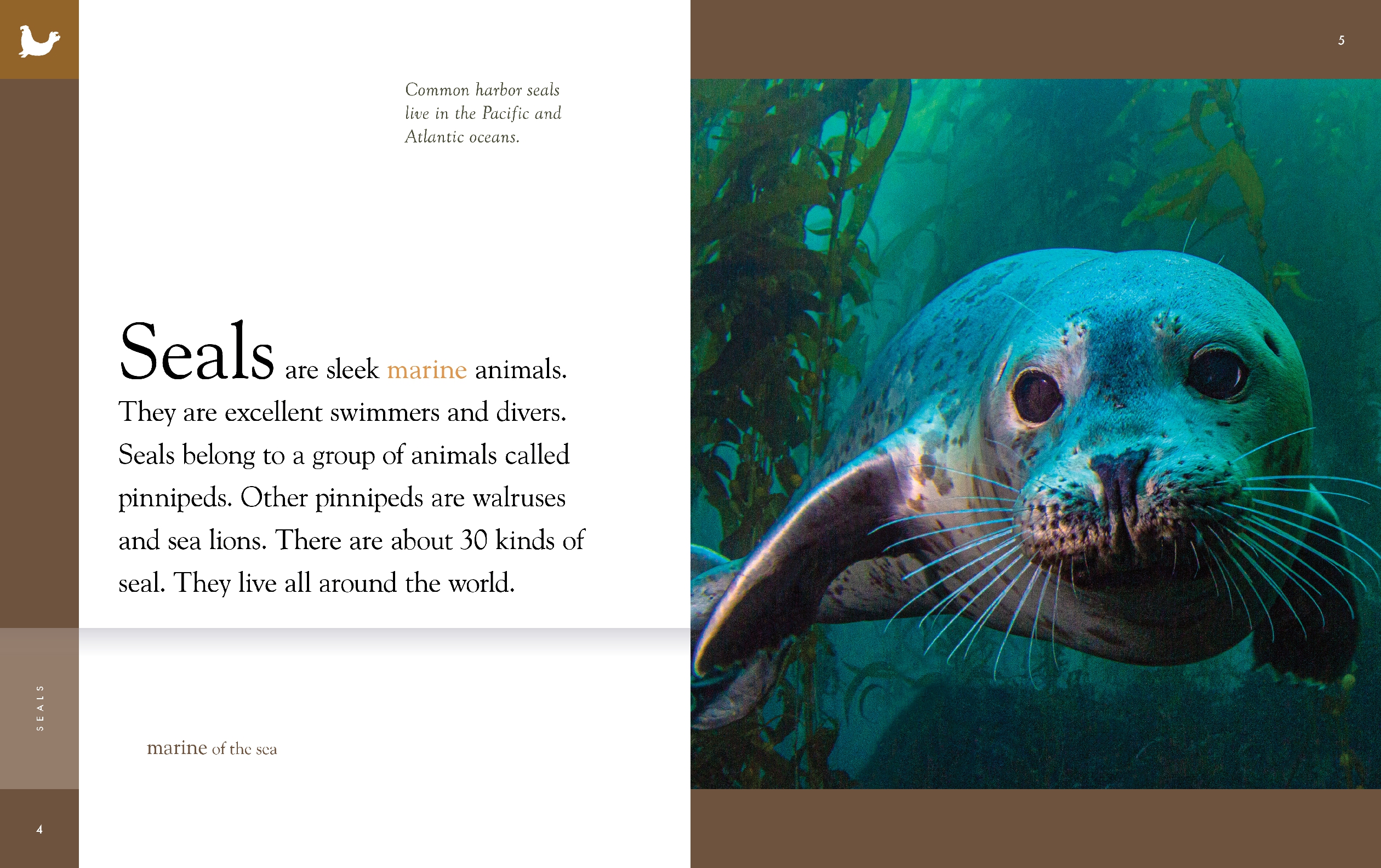 Seals