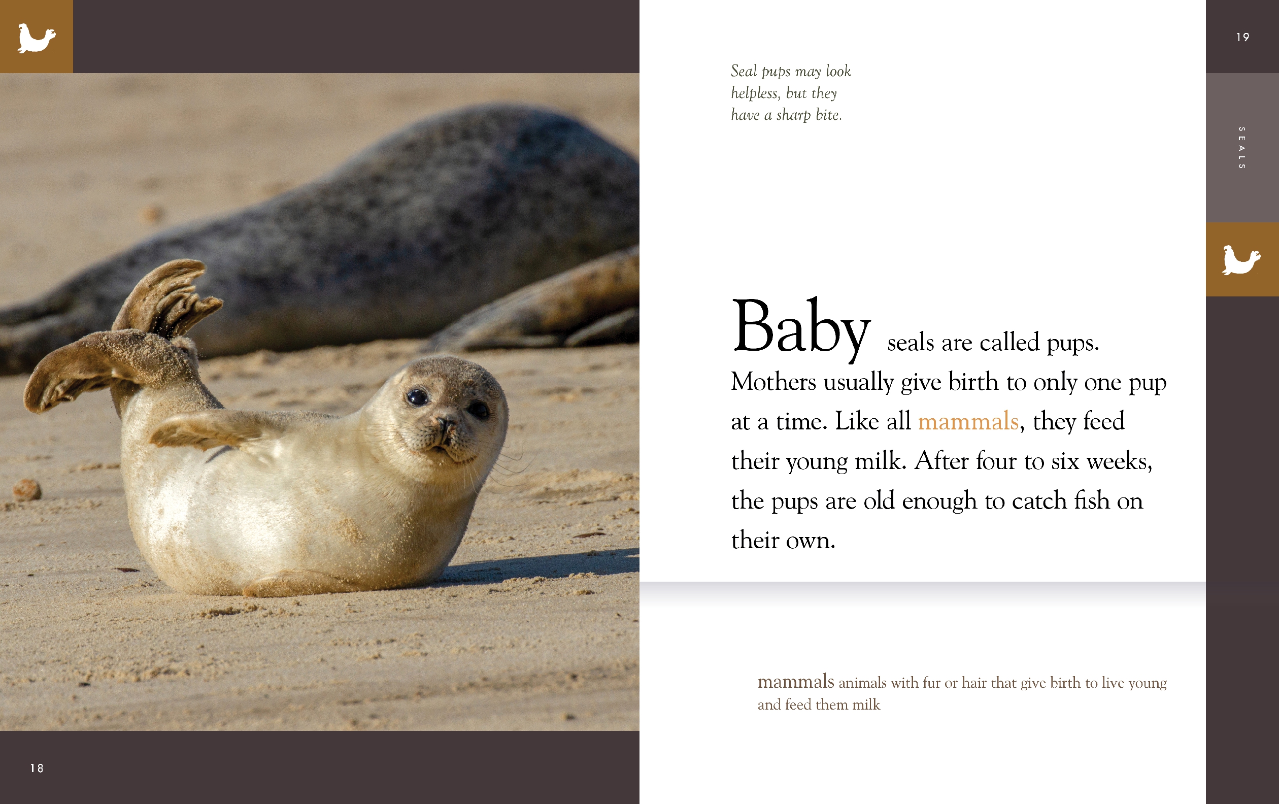 Seals