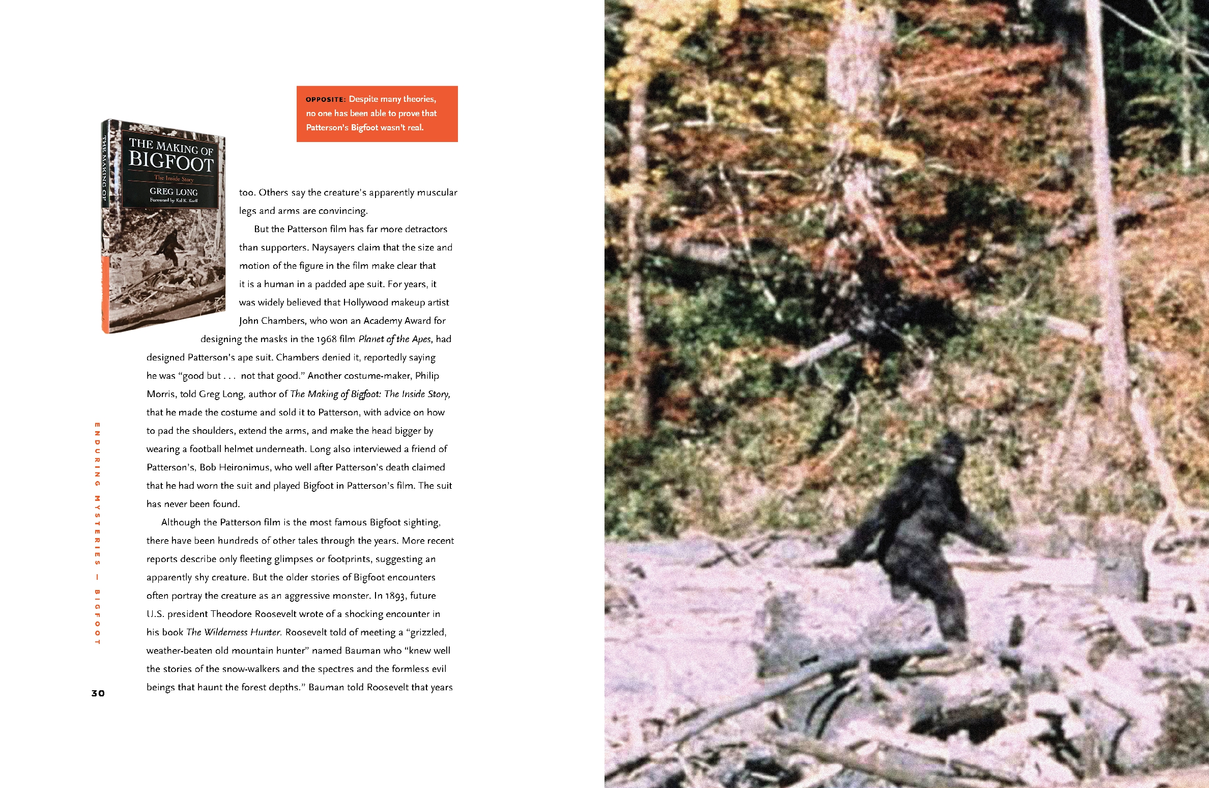 Bigfoot