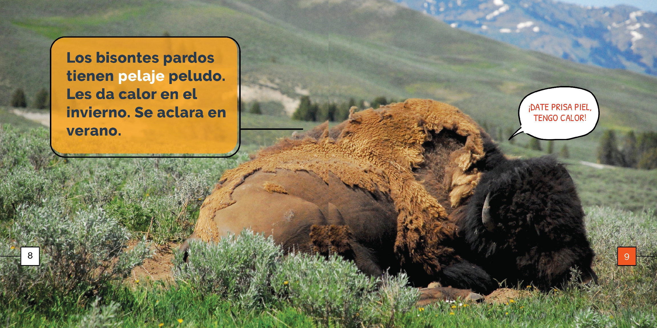 Los bisantes