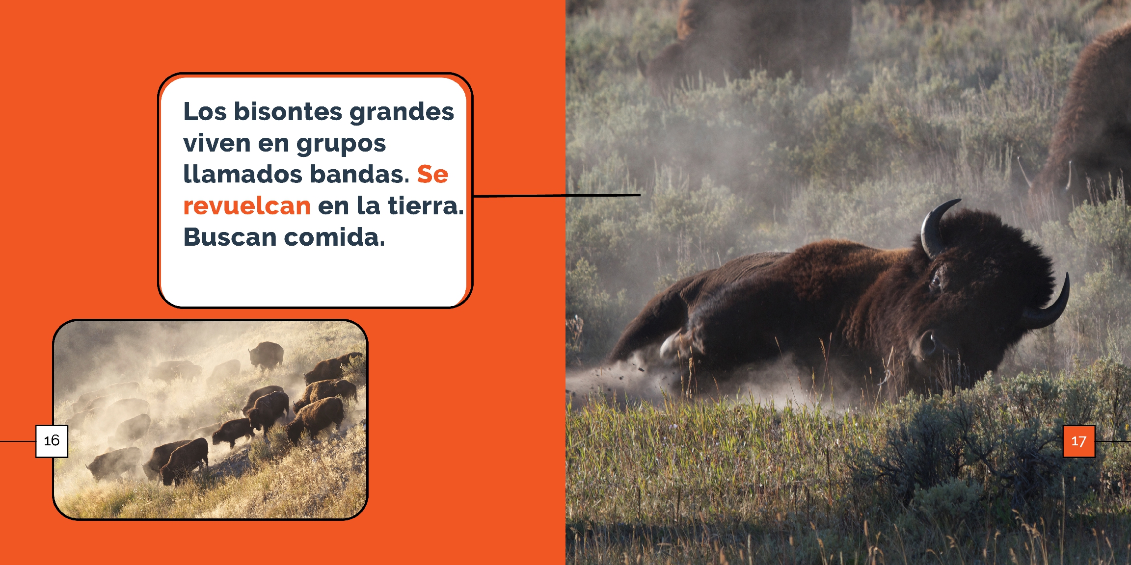 Los bisantes