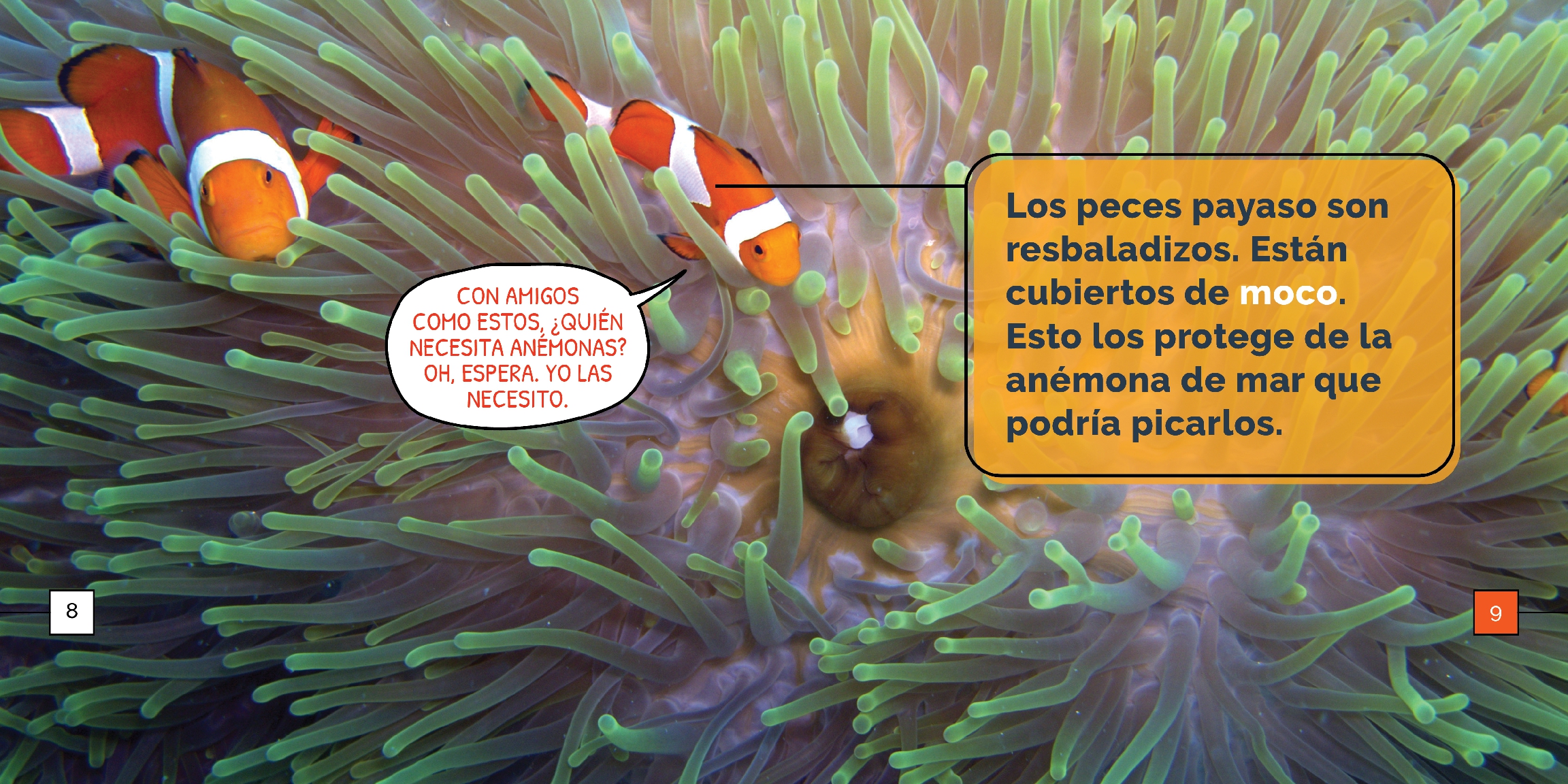 Los peces payaso