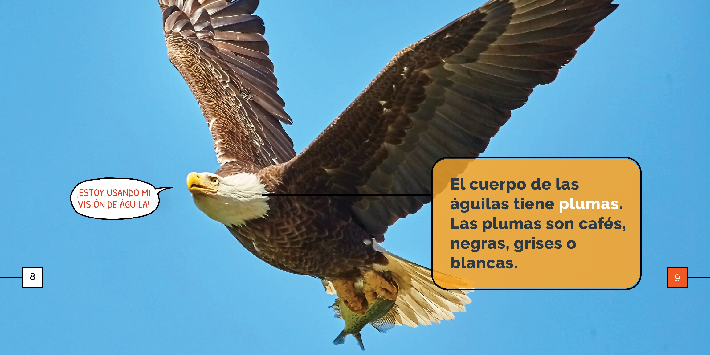 Las águilas