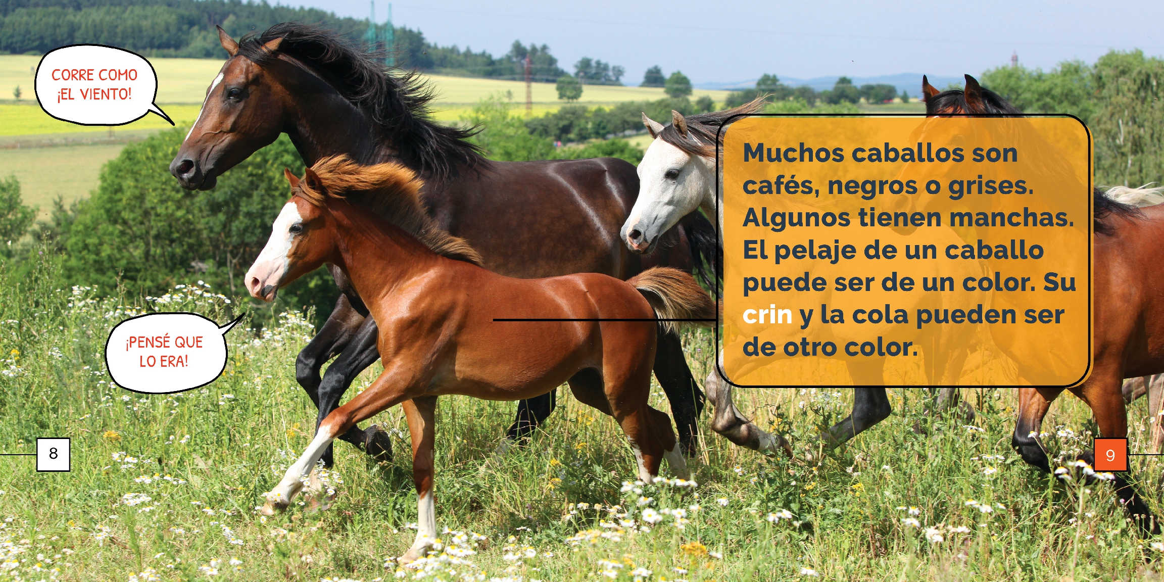 Los caballos