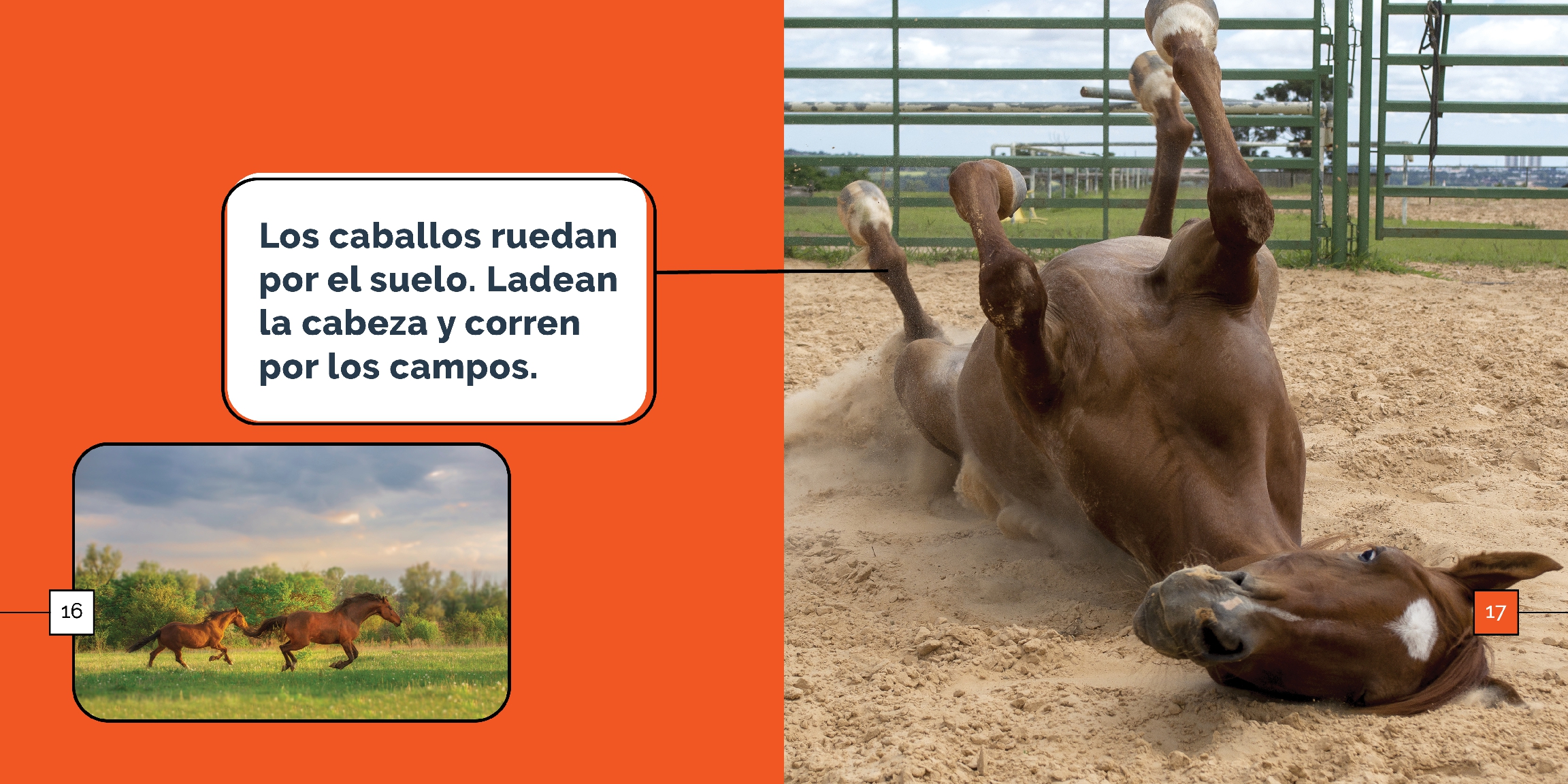 Los caballos