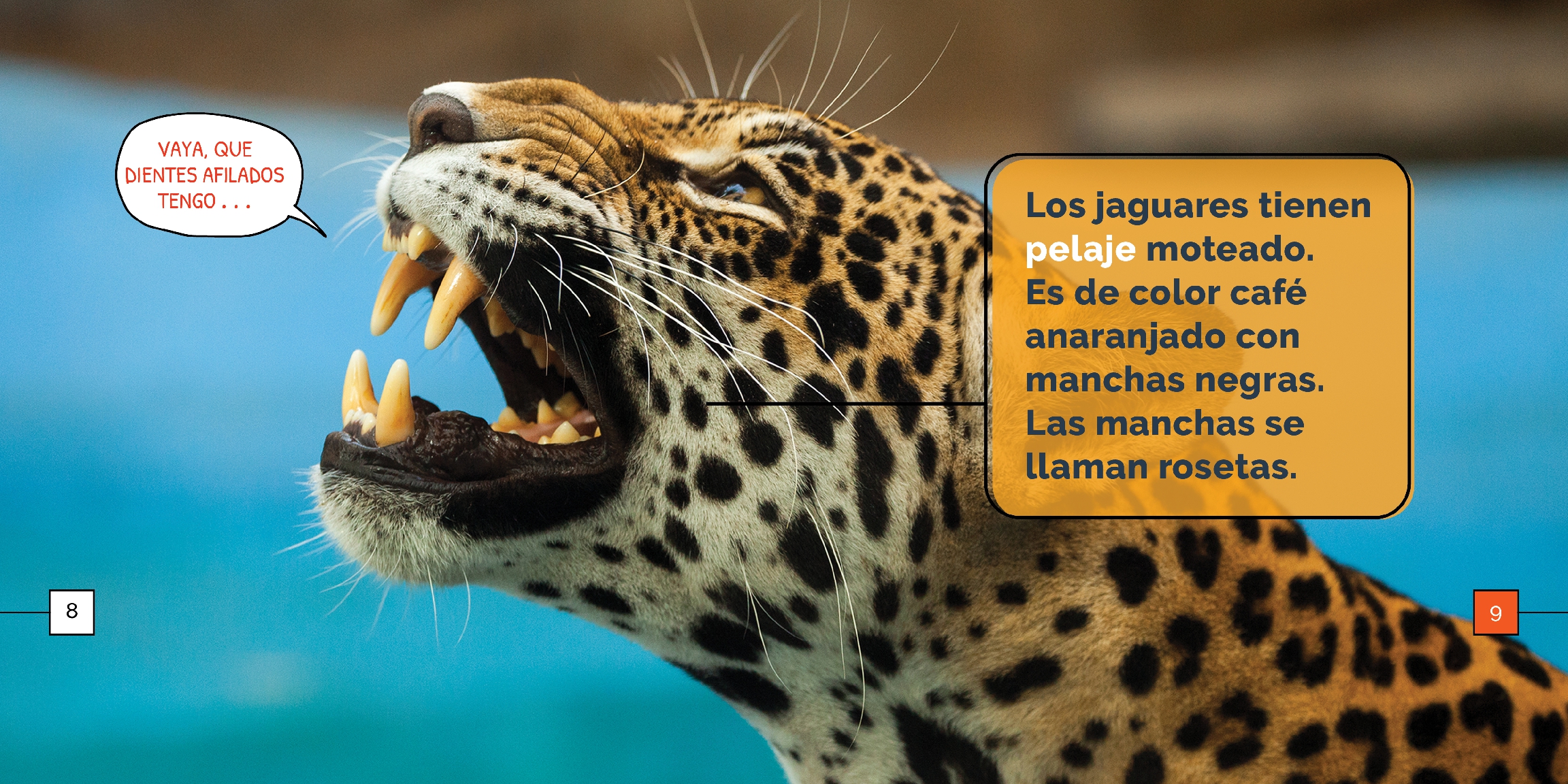 Los jaguares