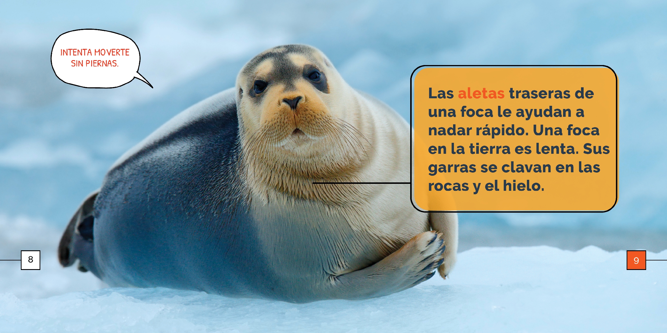 Las focas