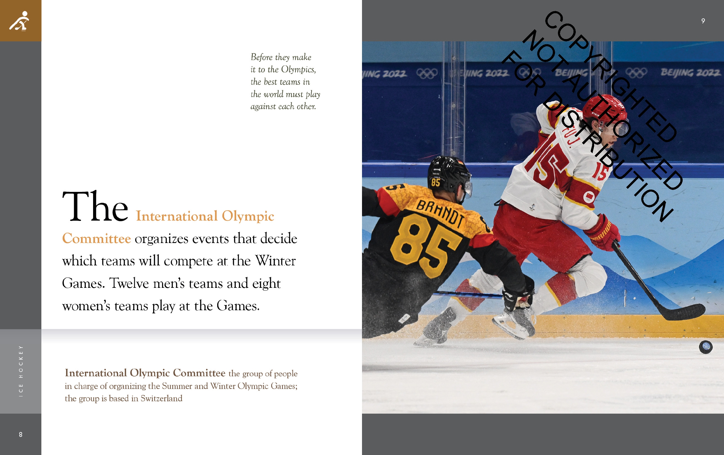 Ice Hockey