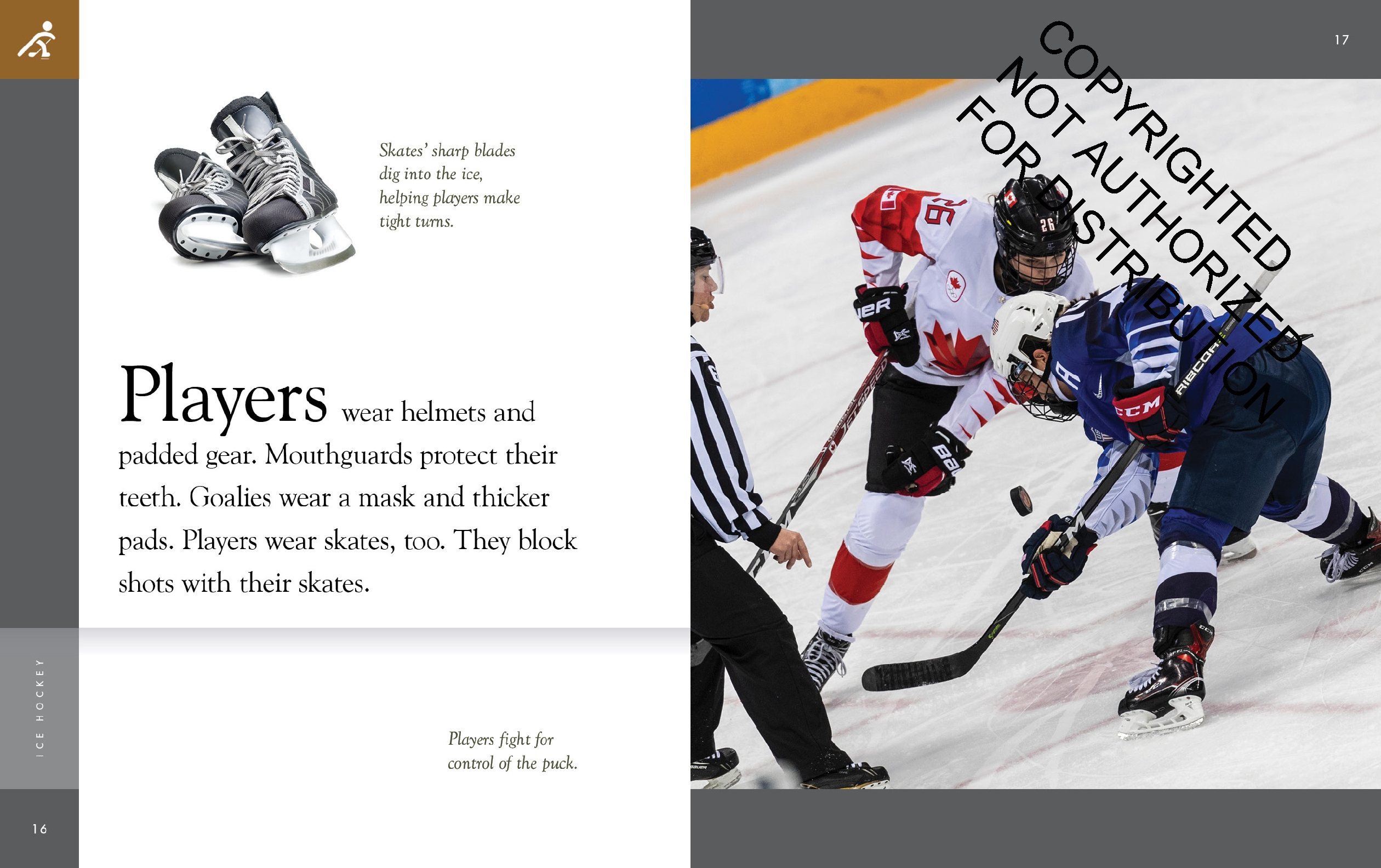 Ice Hockey