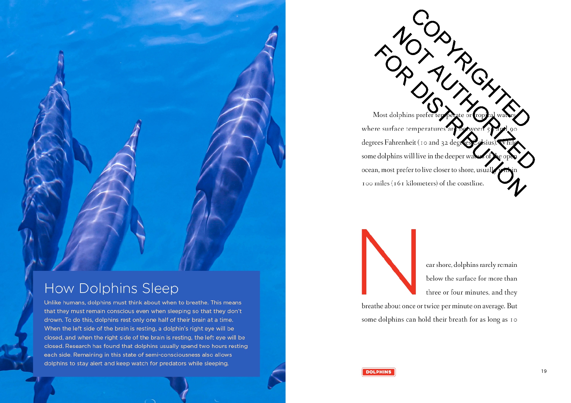 Dolphins