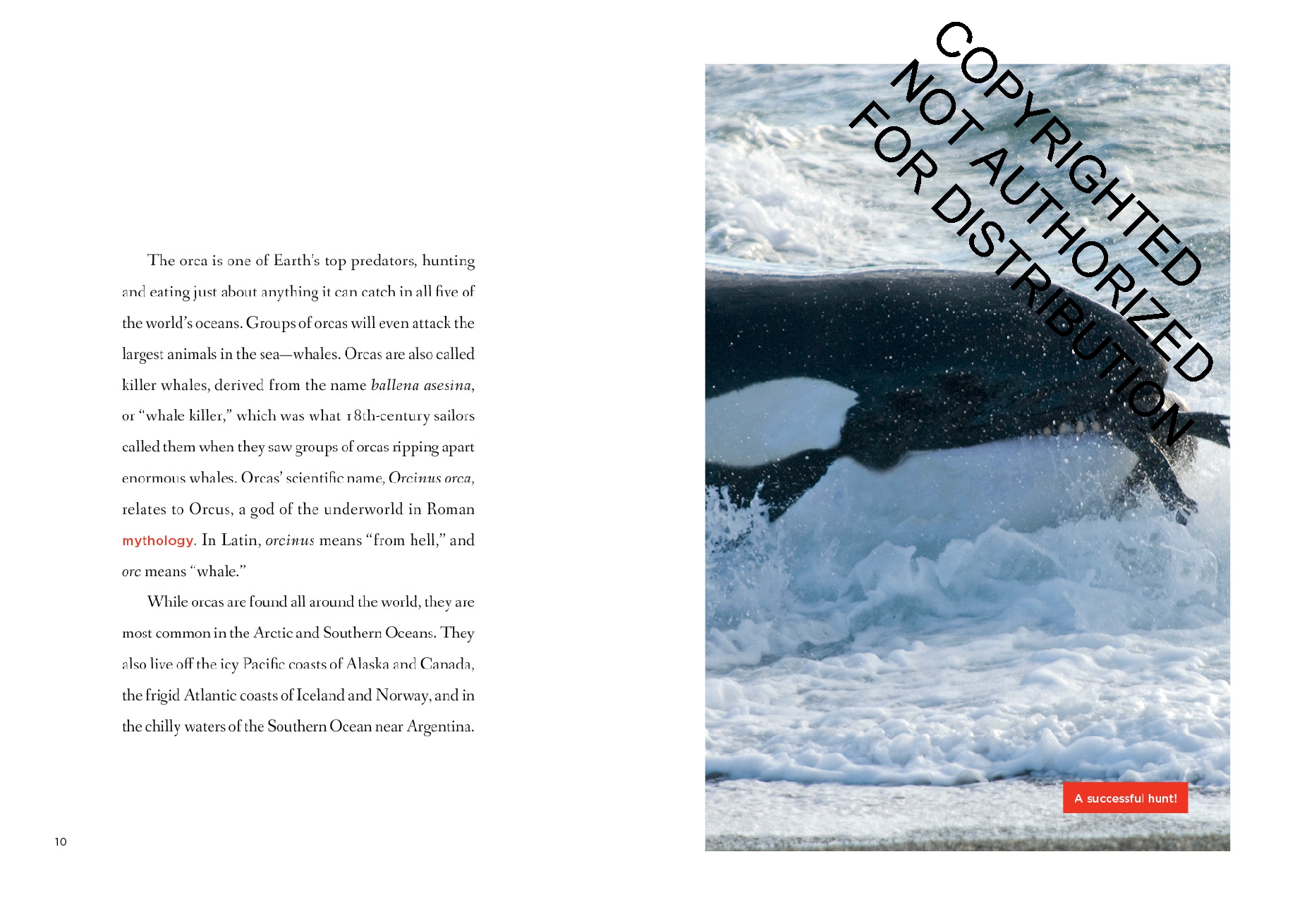 Orcas