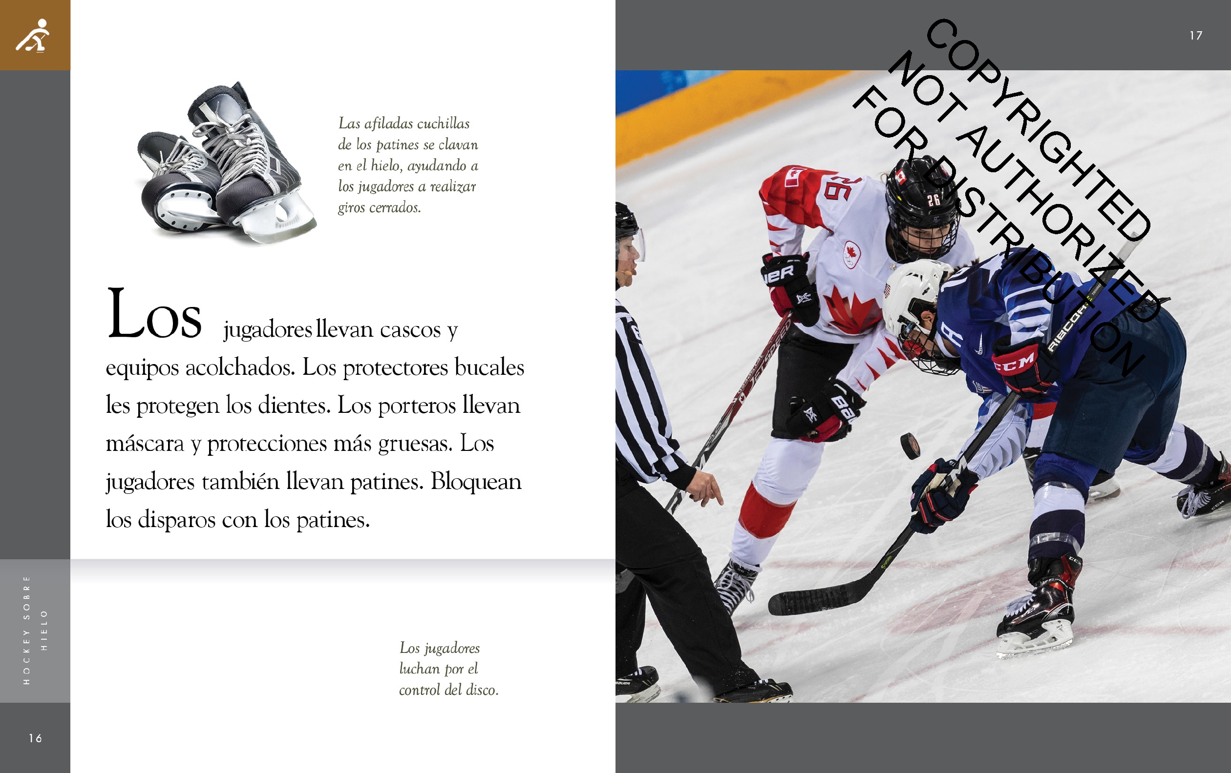 Hockey sobre hielo