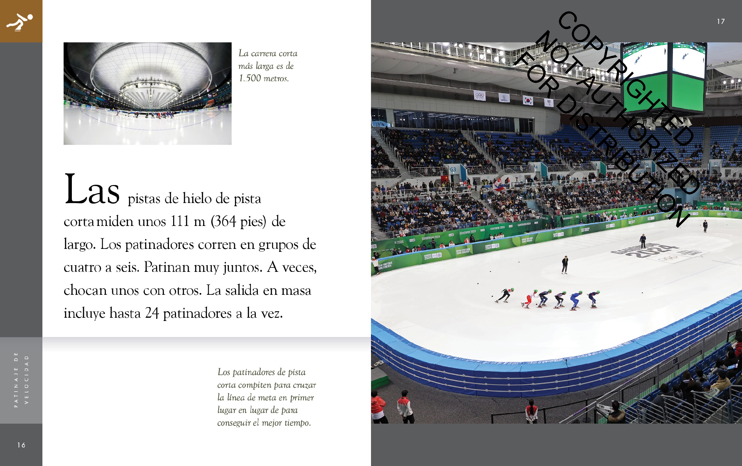 Patinaje de velocidad sobre hielo