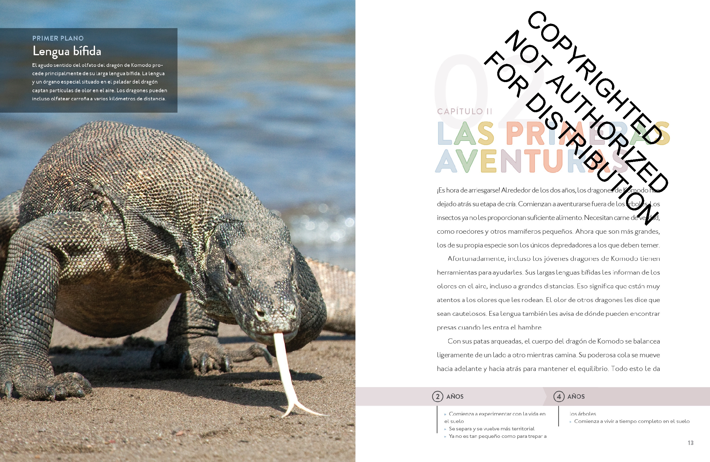 El dragón de Komodo