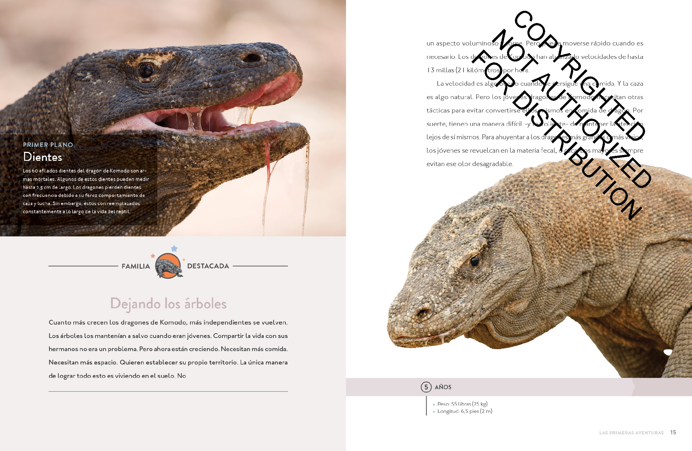 El dragón de Komodo