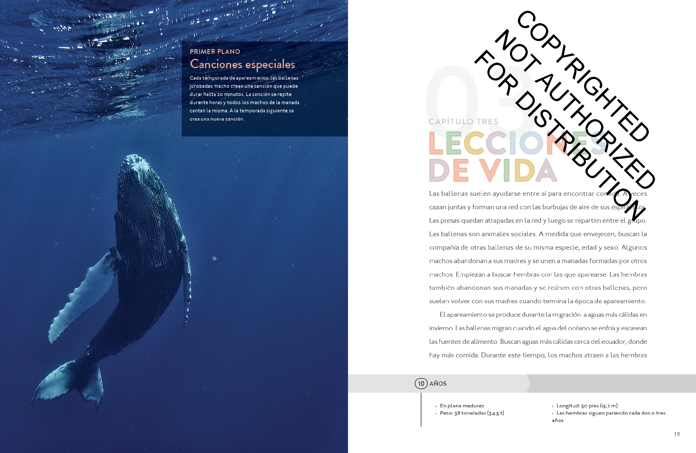 La ballena