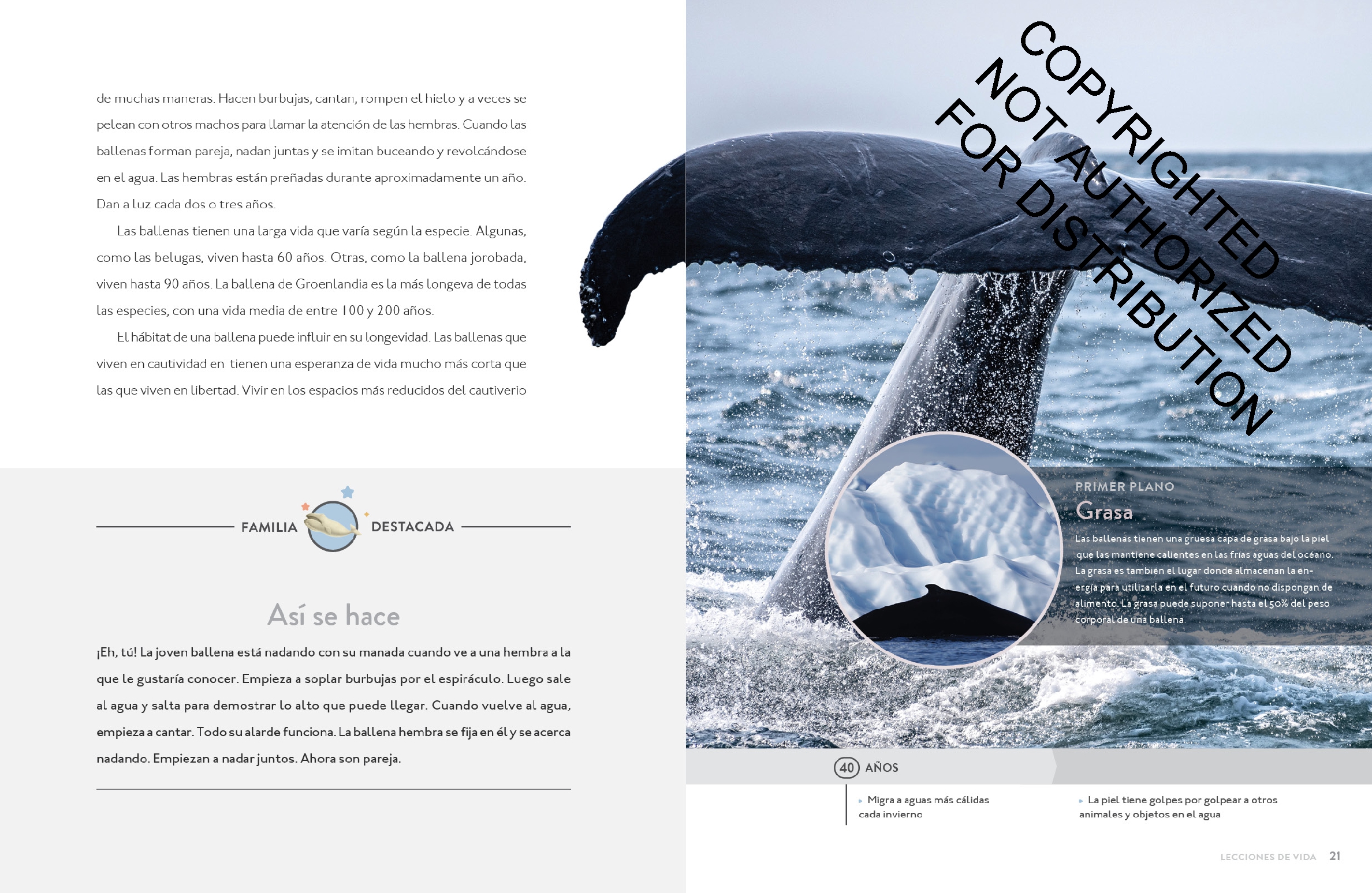 La ballena