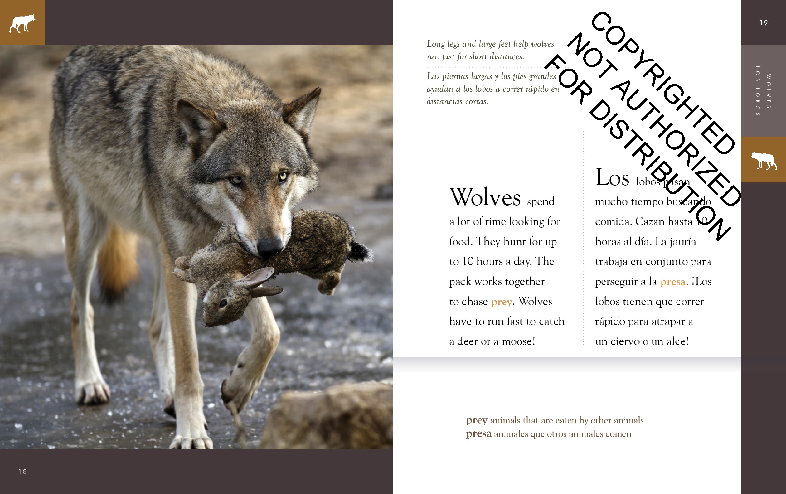 Wolves / Los lobos