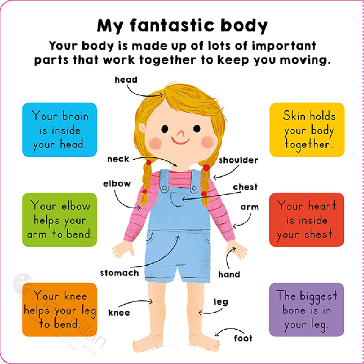 My Little World: My Body