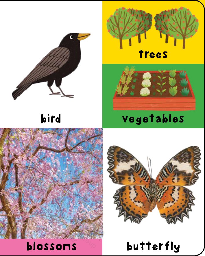 First 100 Padded: Nature Words