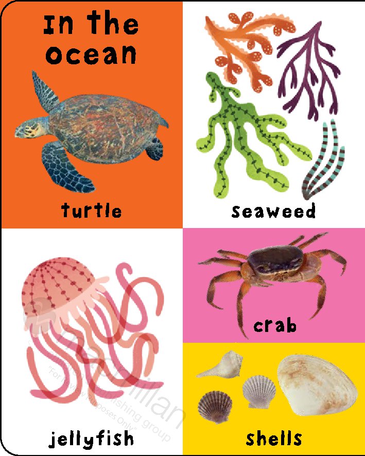 First 100 Padded: Nature Words