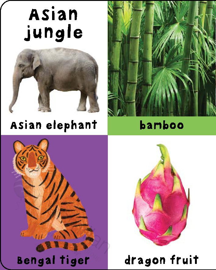 First 100 Padded: Nature Words