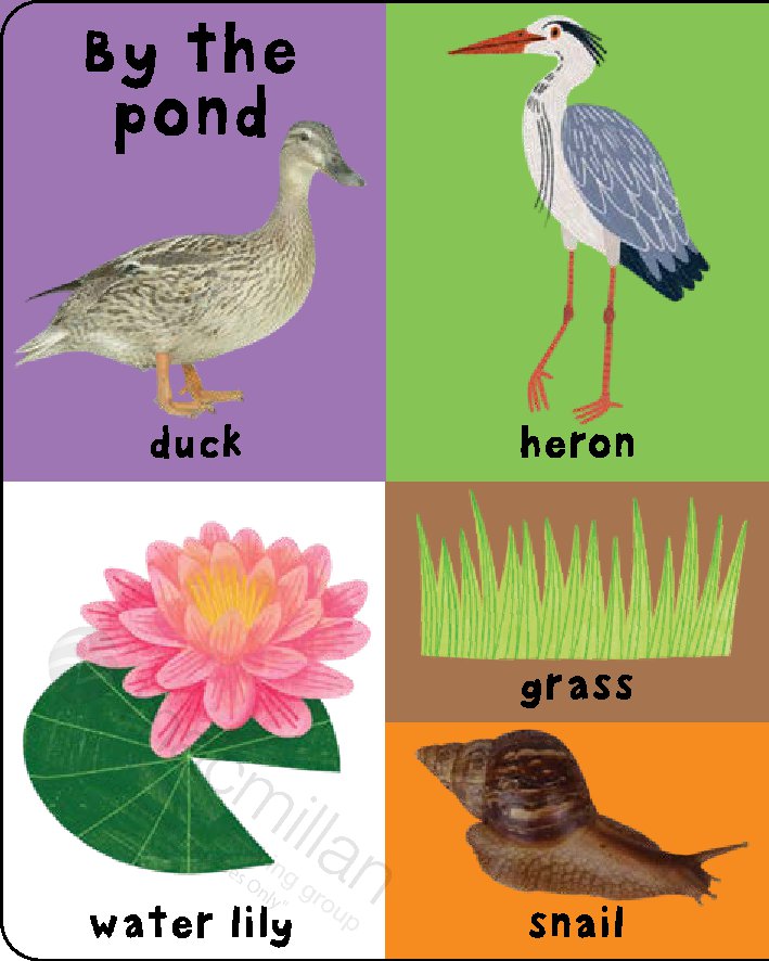 First 100 Padded: Nature Words