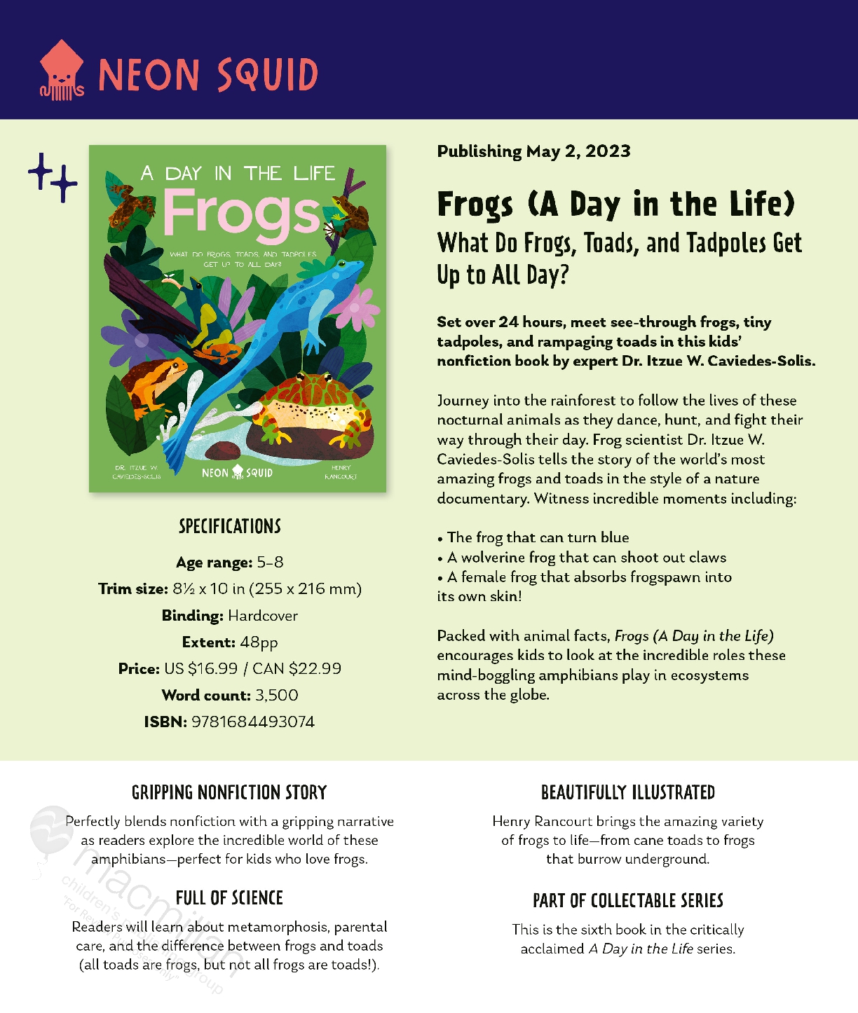 Frogs (A Day in the Life)