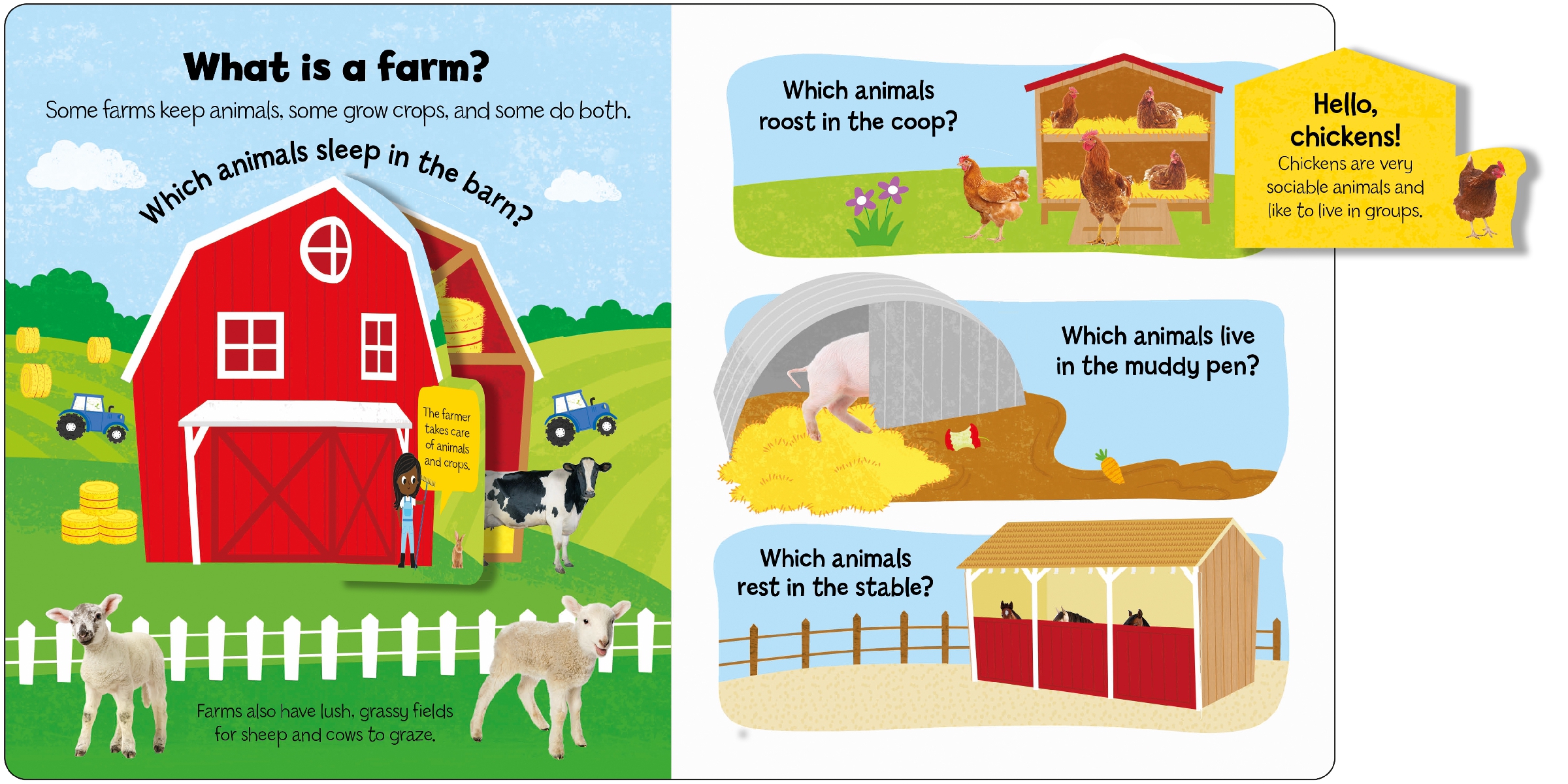 Farm (Little Kids, Big Questions)