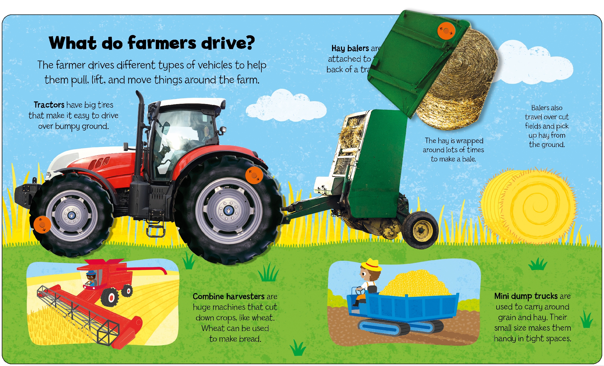 Farm (Little Kids, Big Questions)