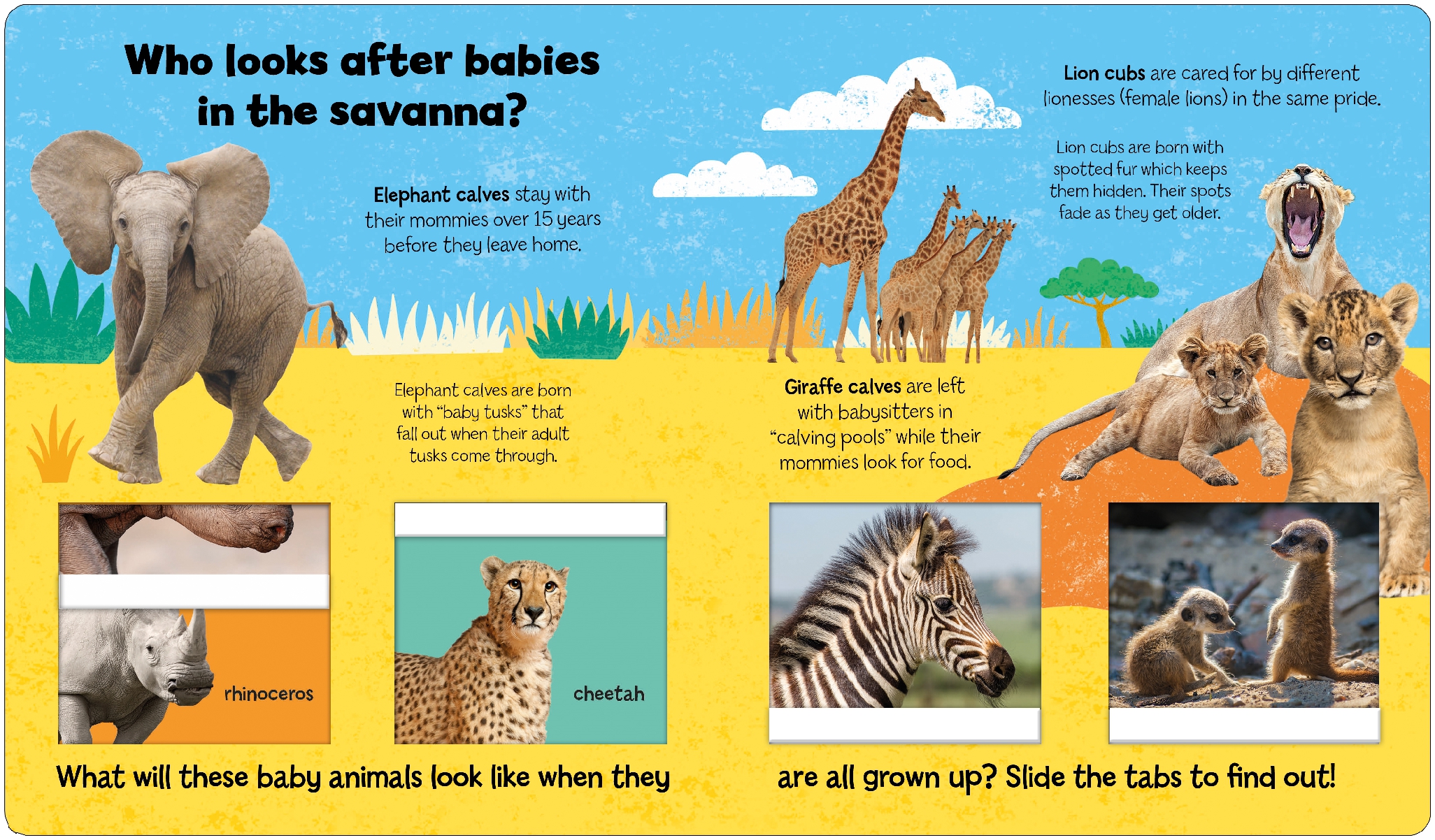 Baby Animals (Little Kids, Big Questions)