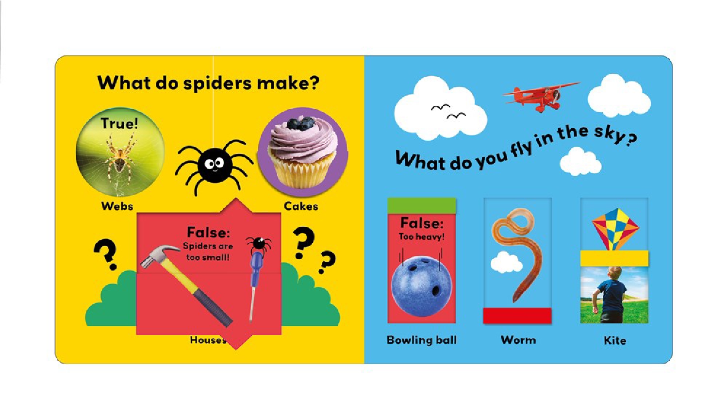 Words (True or False?)