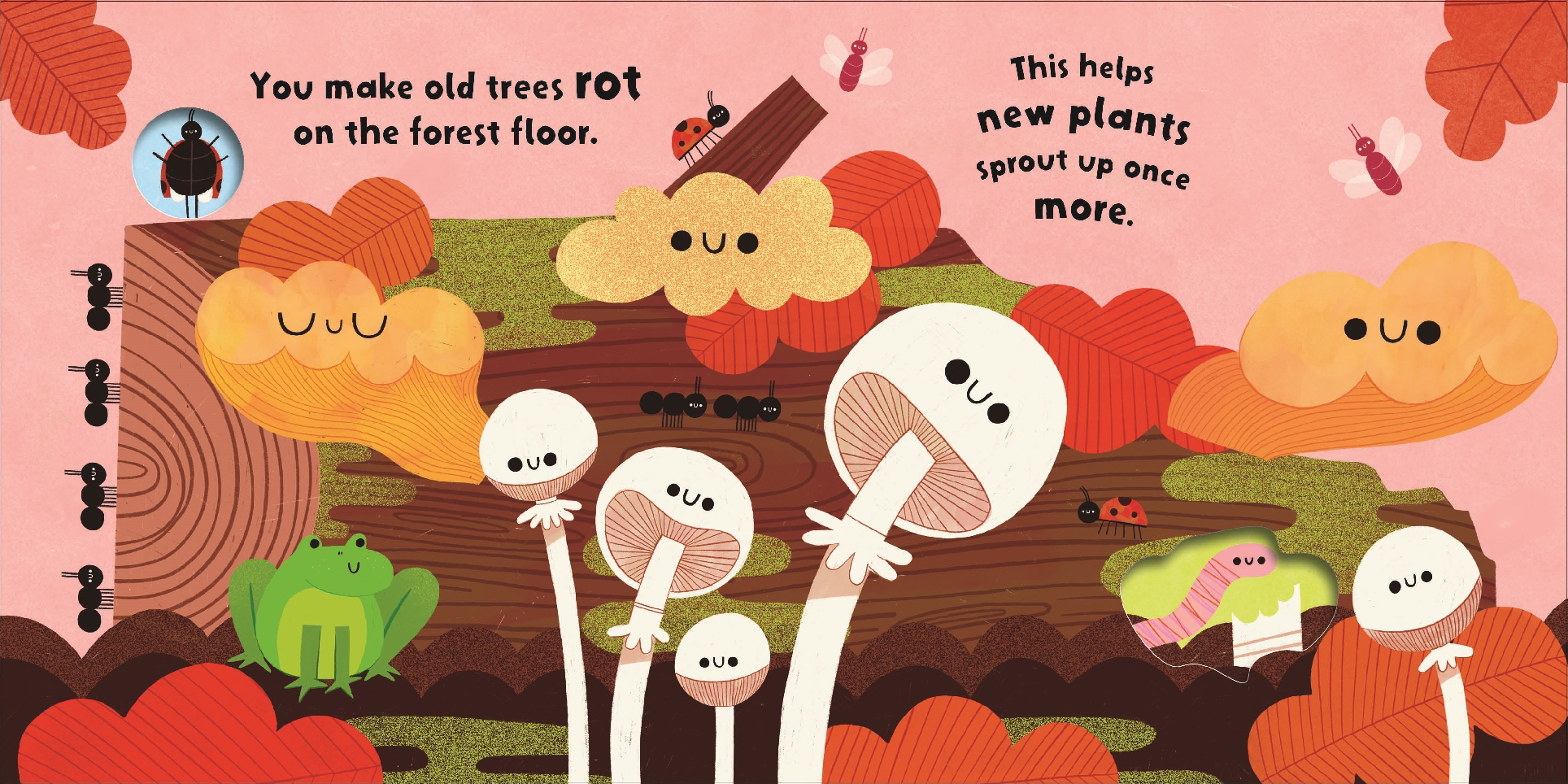 Fungi Friends (Nature Heroes)