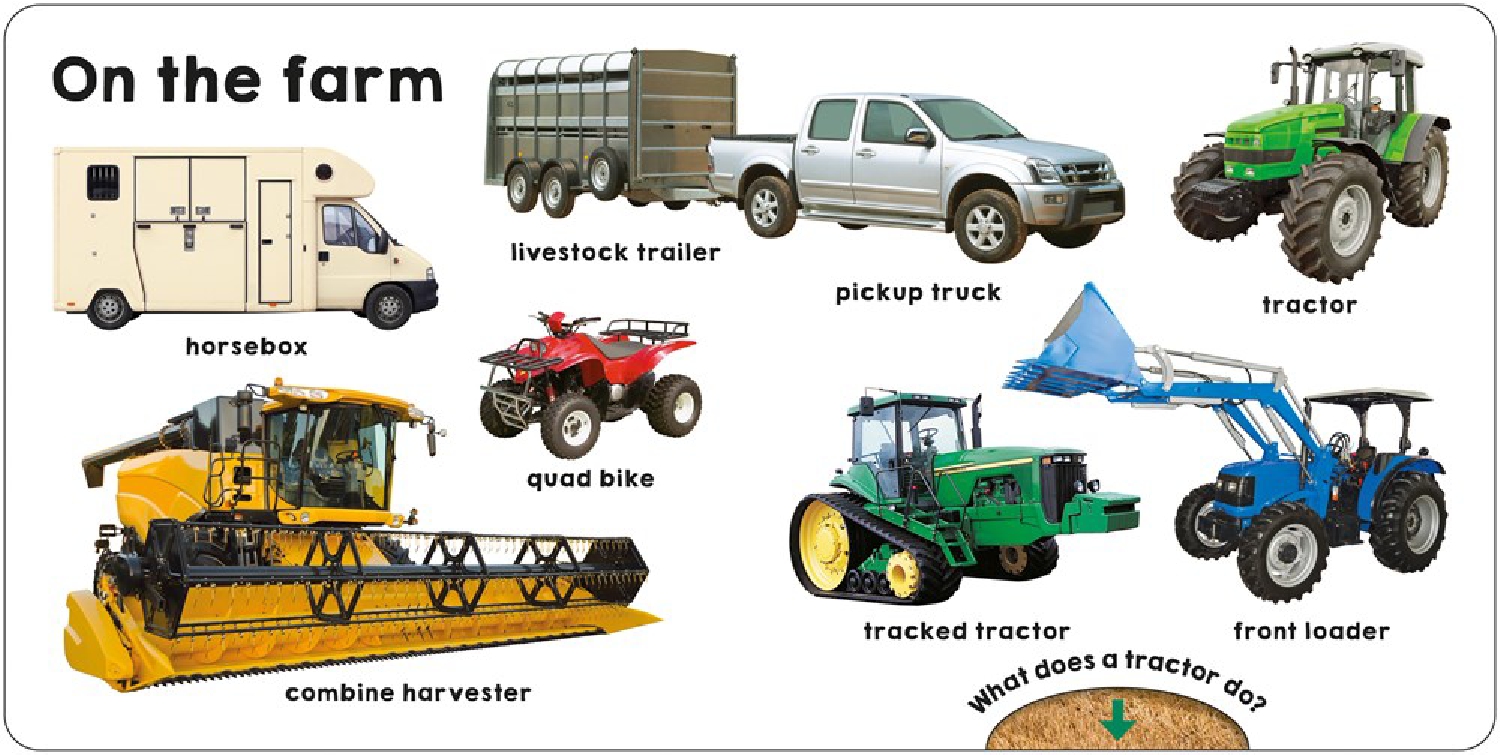 Trucks and Things That Go (Slide & Surprise)