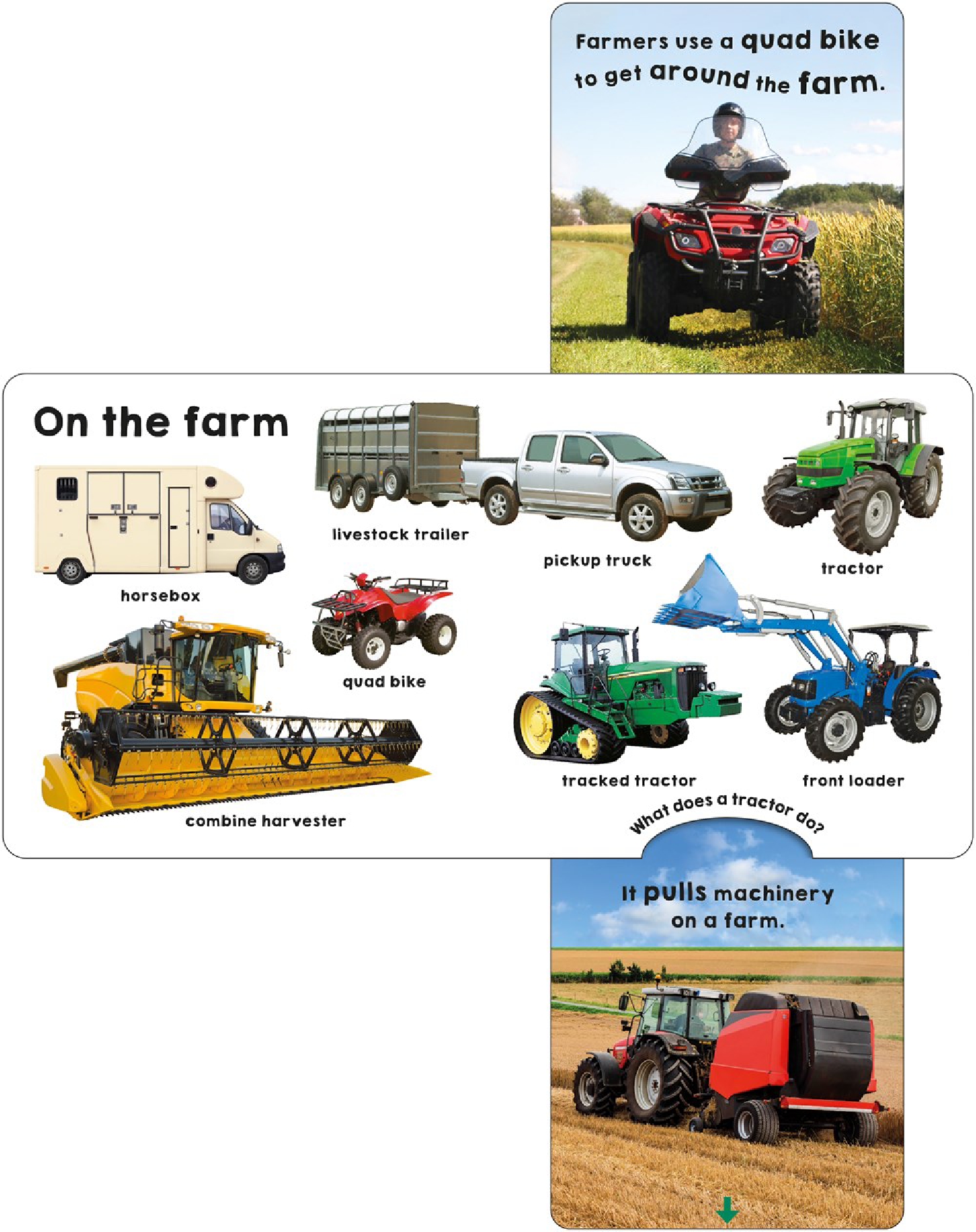 Trucks and Things That Go (Slide & Surprise)