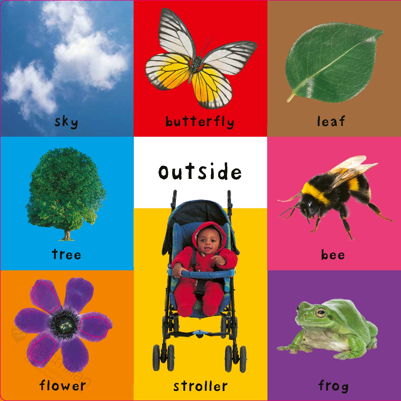 First 100 Words Touch-and-Feel